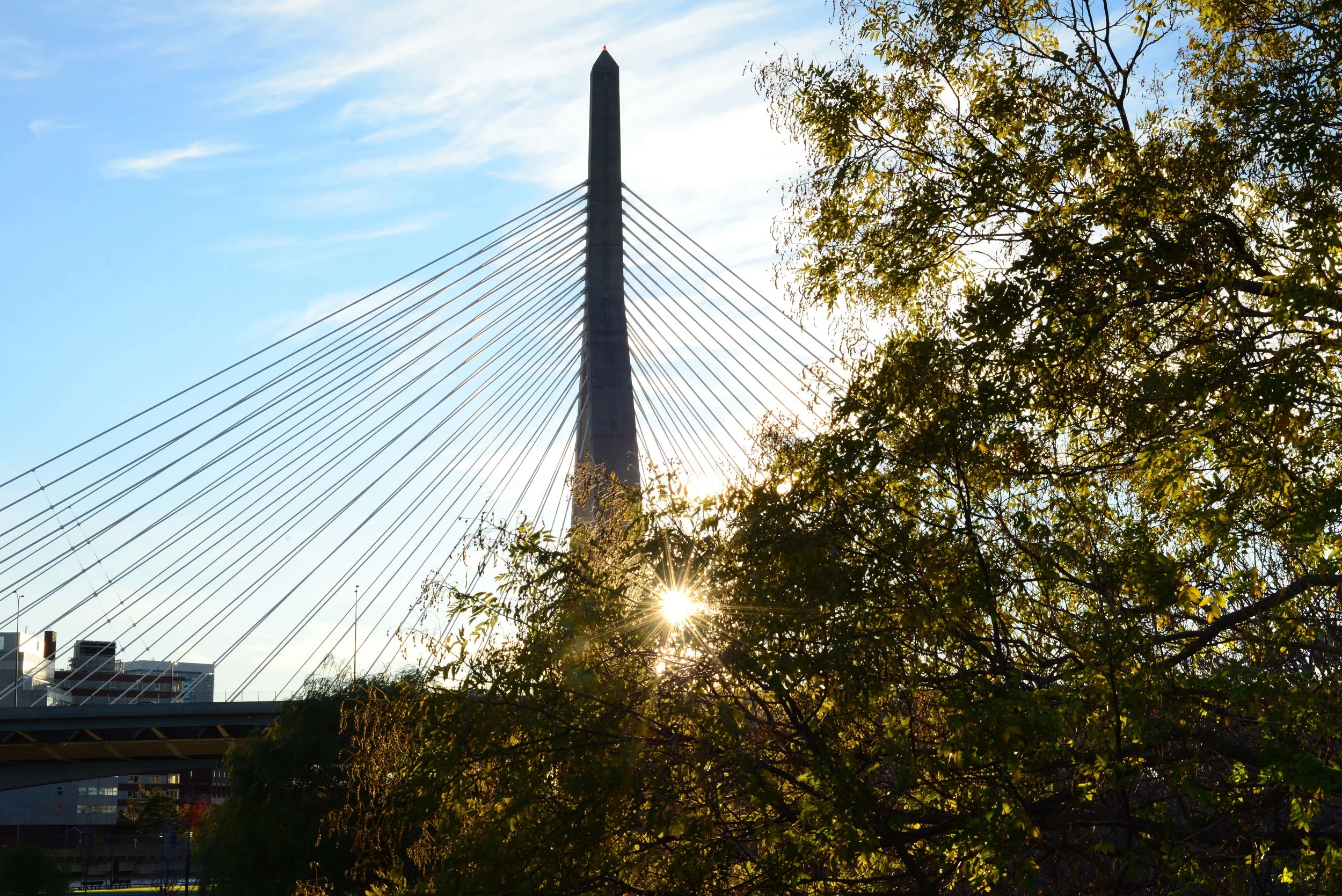 National Photo Posting Month :: November 15, 2015