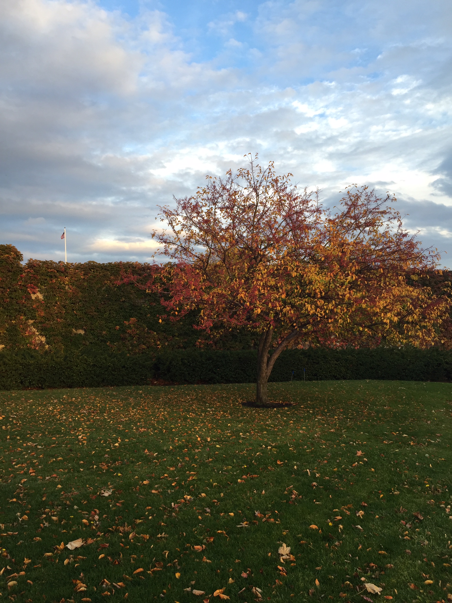 National Photo Posting Month :: Day 12