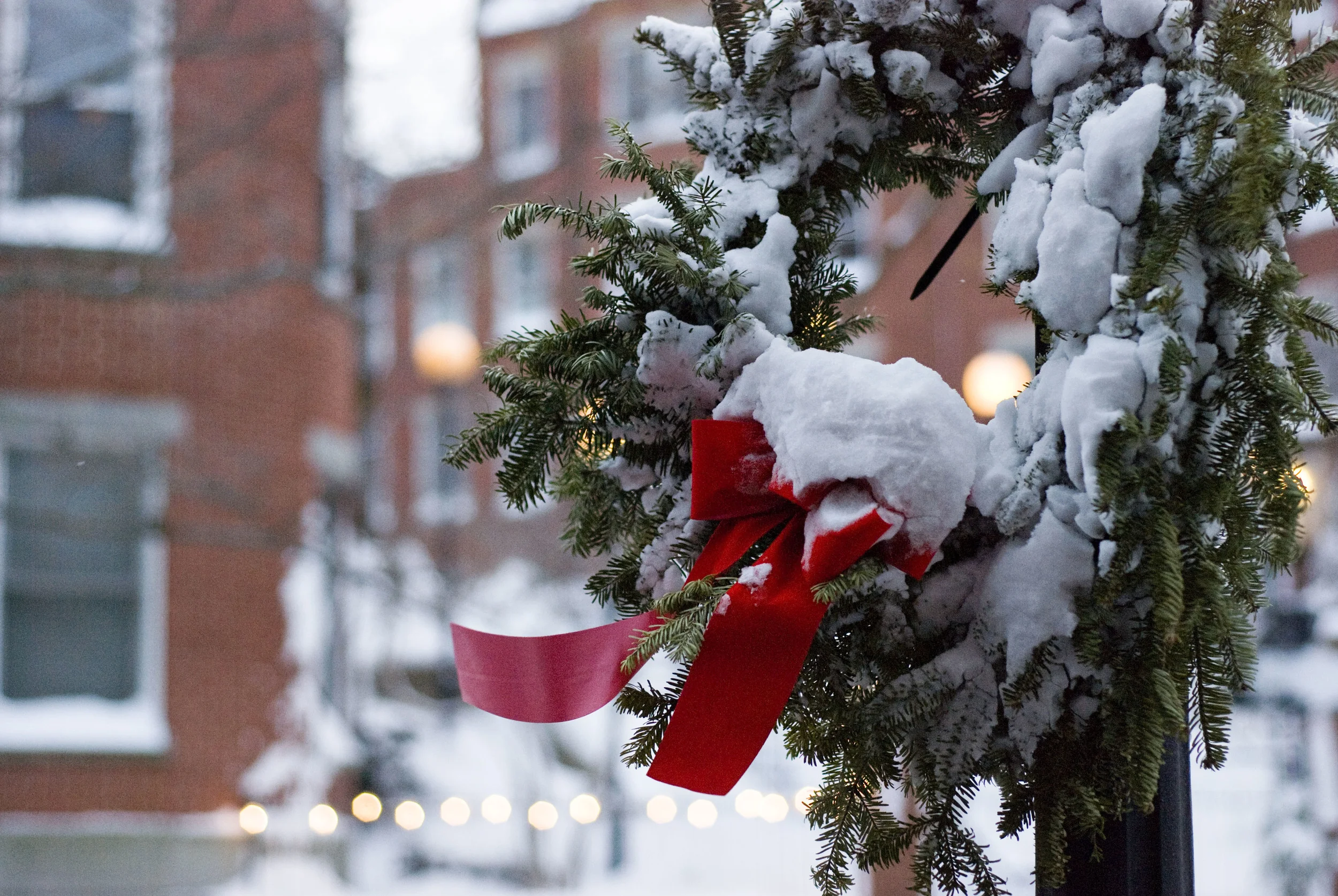 christmas wreath on main street :: december 27, 2010