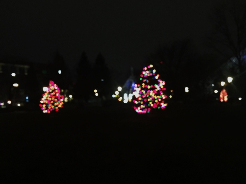 December 22, 2016 :: This is what City Square Park looks like at 5:30 am. I snapped this on my way to yoga one morning.