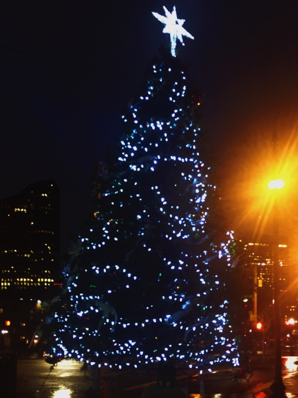 December 27, 2016 :: Heading to yoga before dawn is easier when there are sparkly lights. 