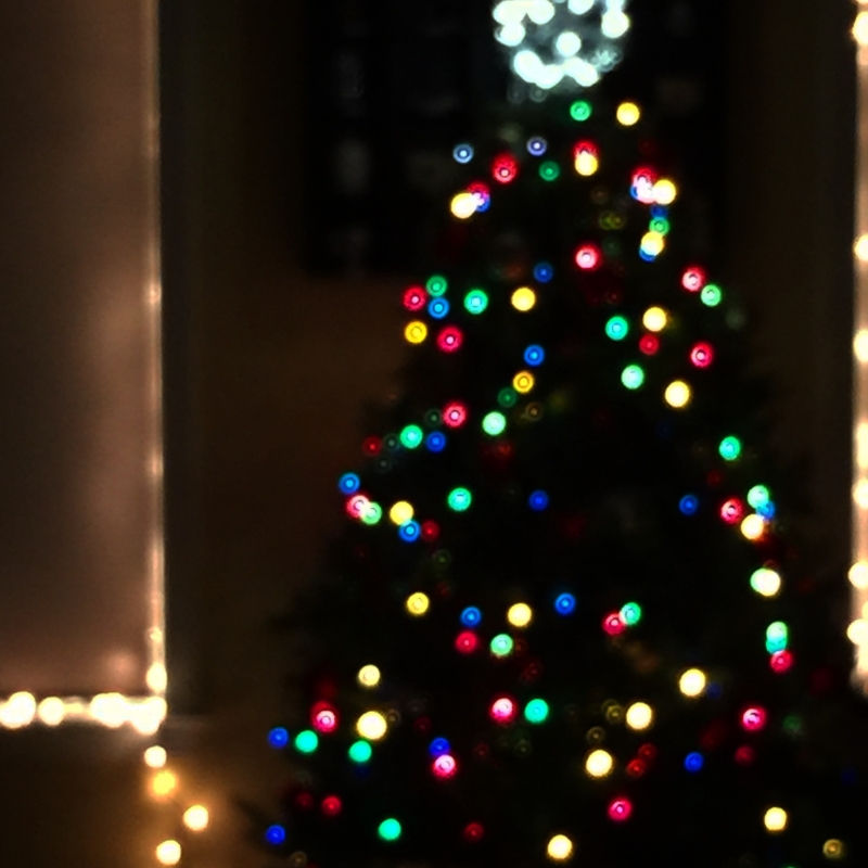 December 29, 2016 :: We put up a tree this year, and kept the decorations simple since this is the first year we had a tree and a dog at the same time. Out-of-focus = more festive, I say.