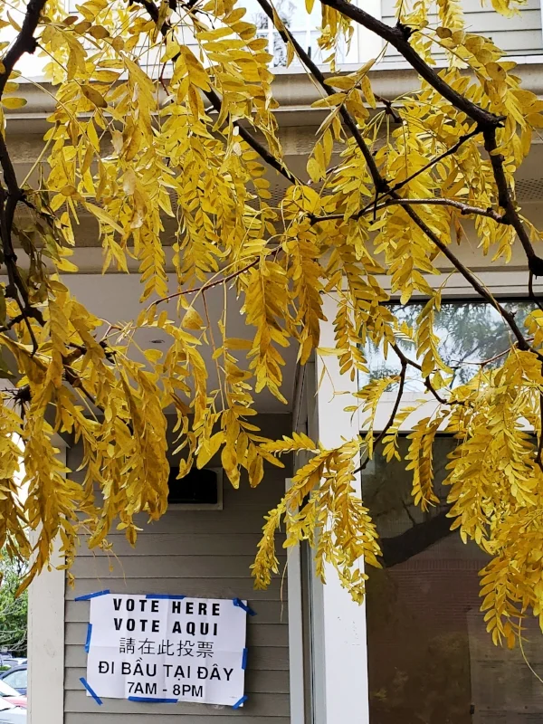 the local polling place in my neighborhood.