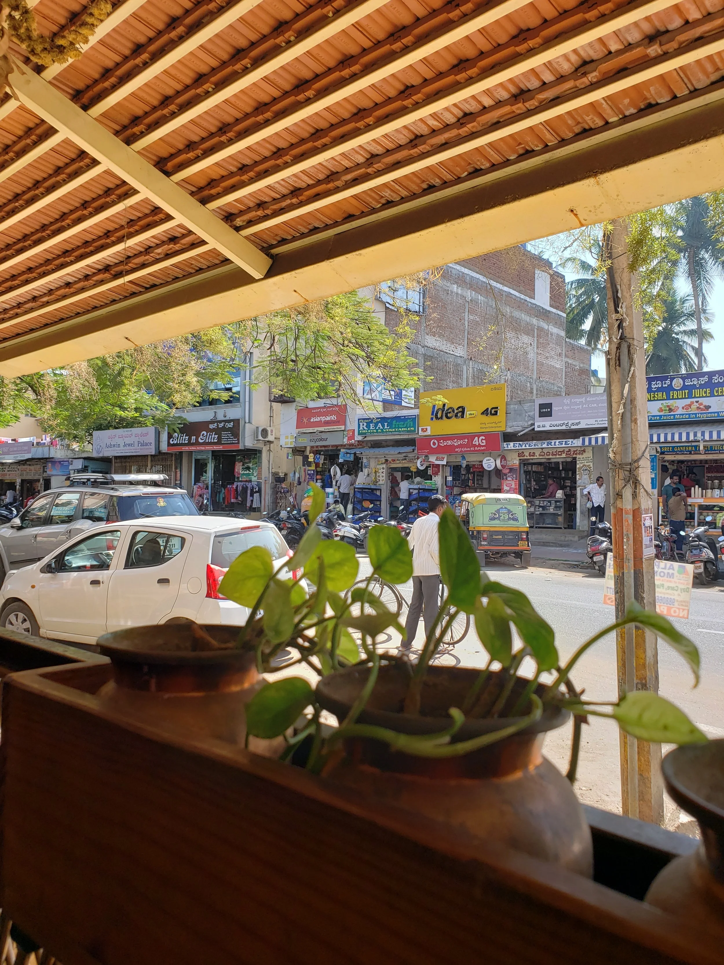 the view from my corner tree trunk table