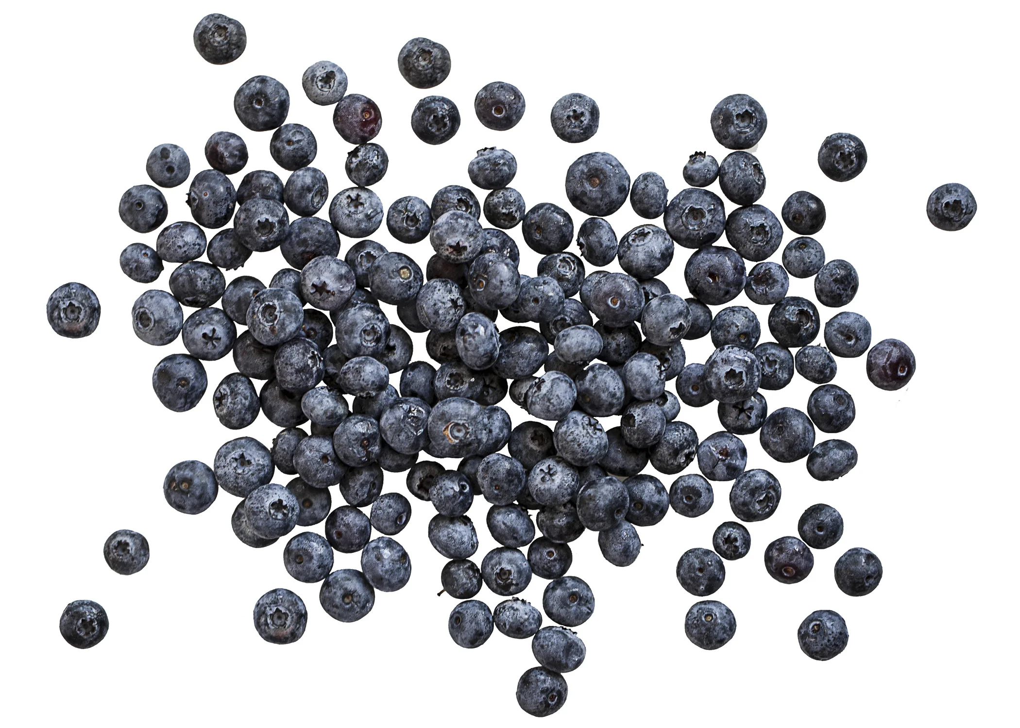 Blueberries web.jpg