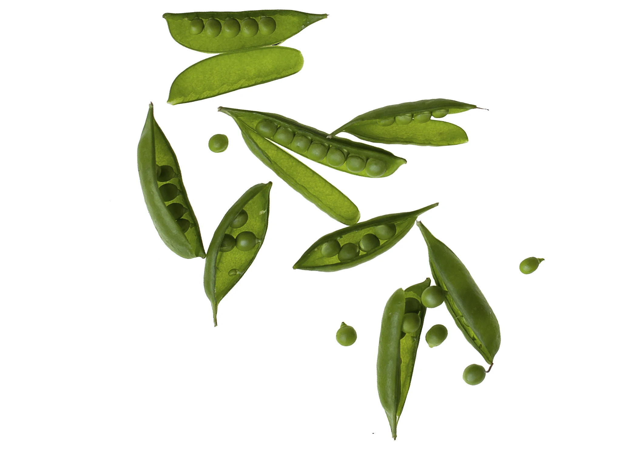 snap peas web.jpg