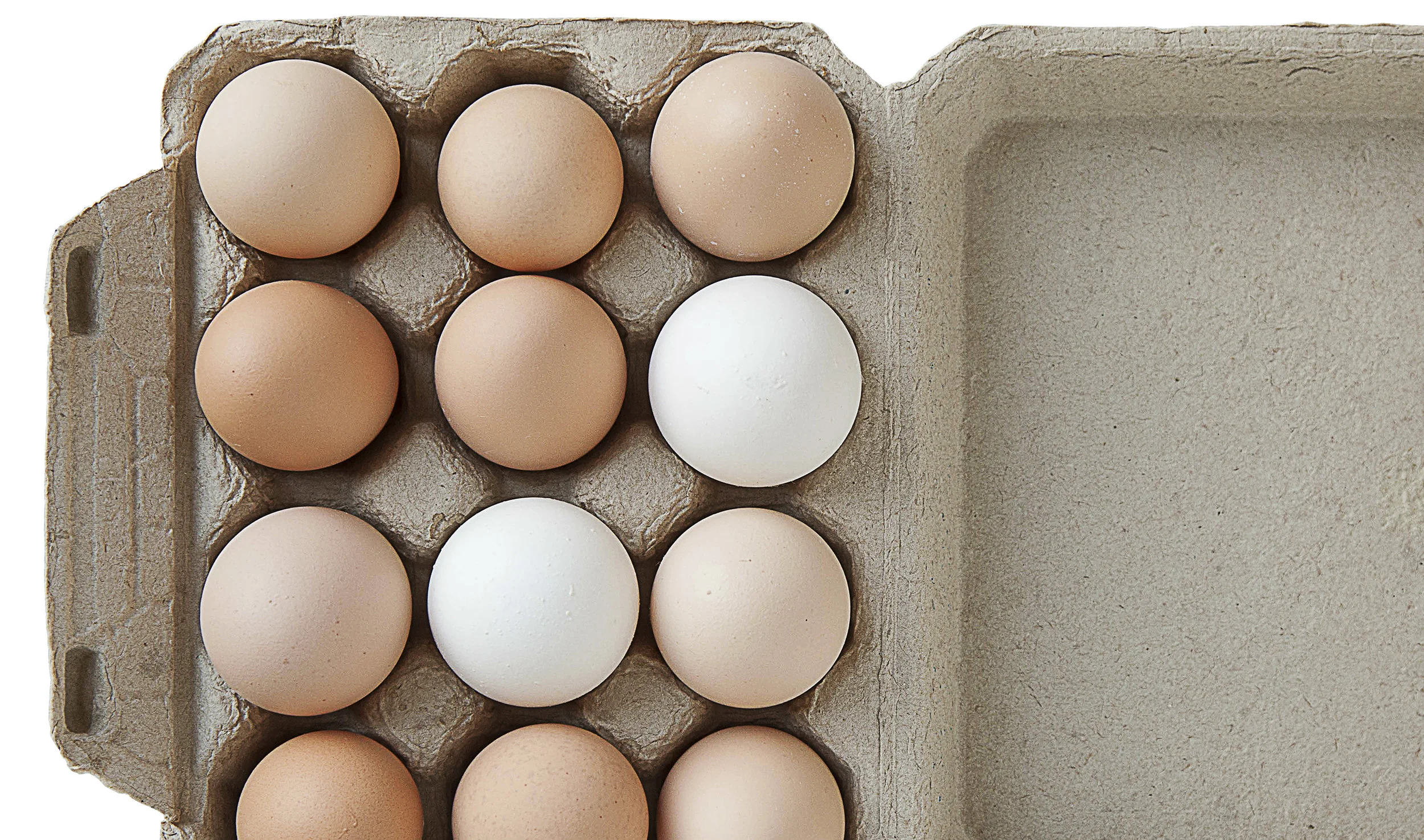 eggs 1.jpg