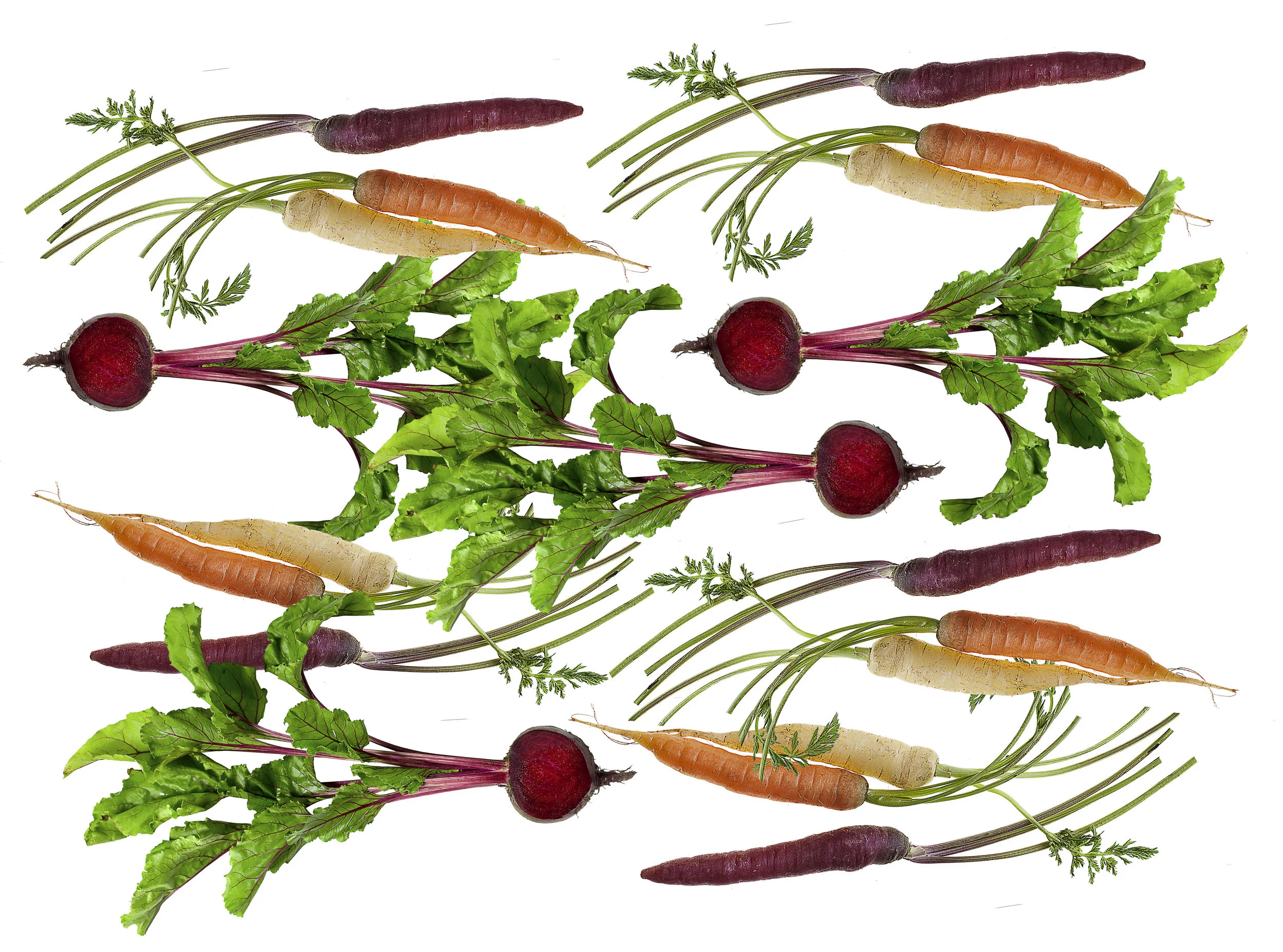 webfood2.jpg