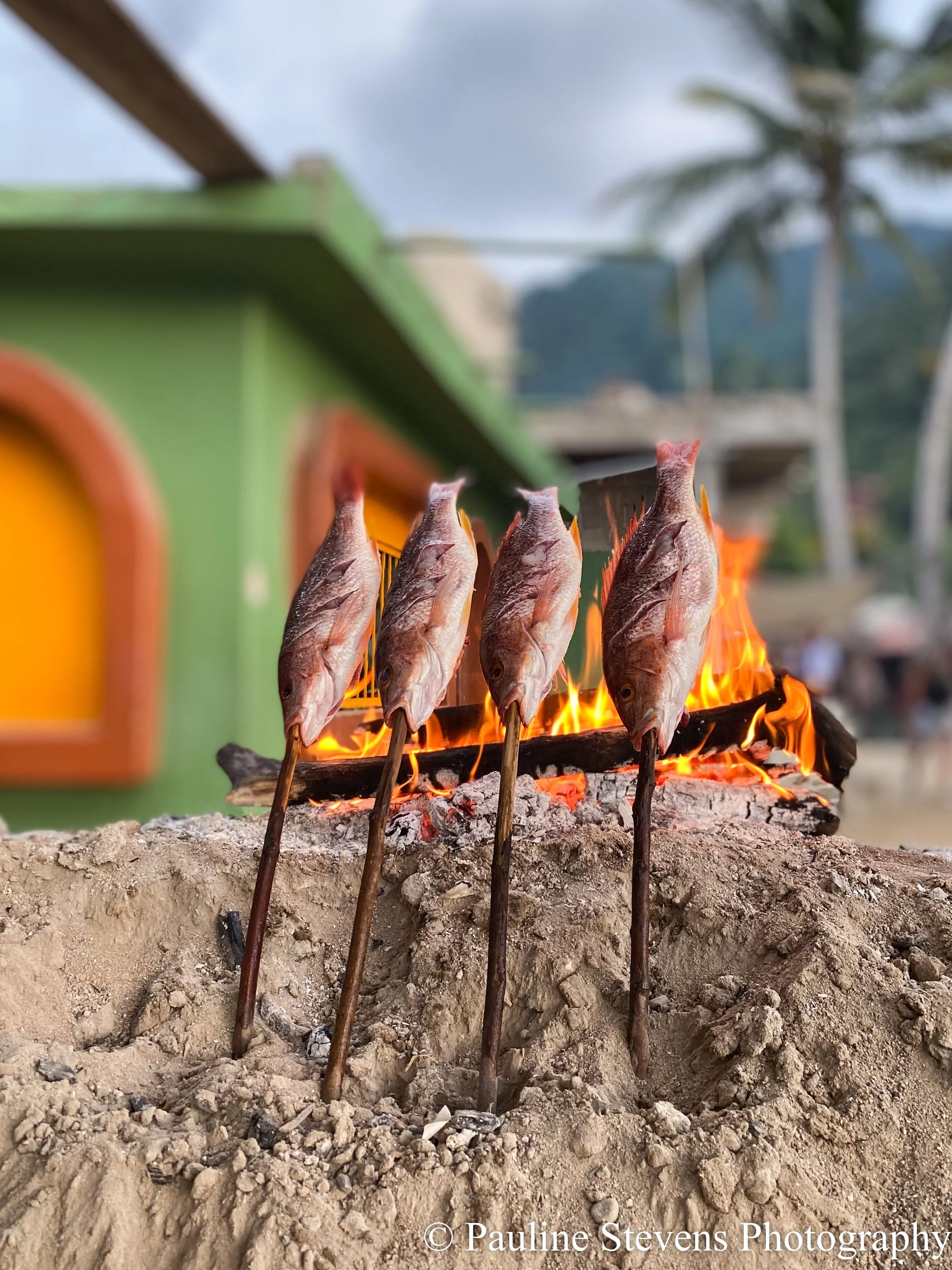 Puerto Vallarta / Catch of the Day