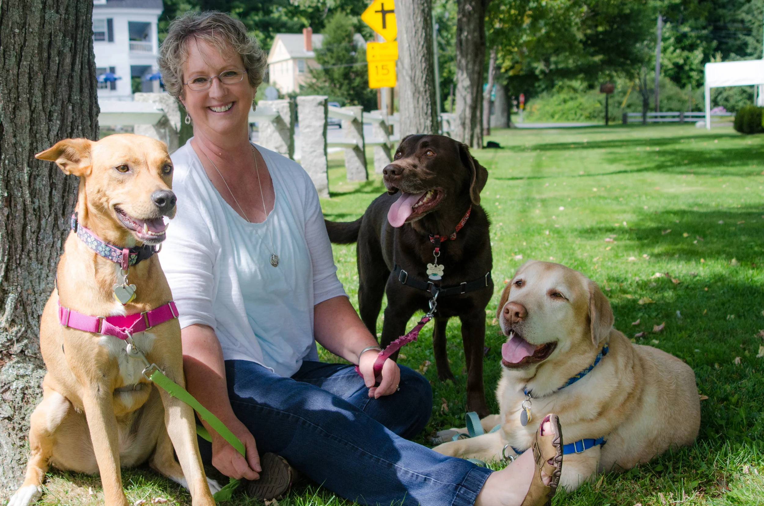 Molly, Woodrow & Gus