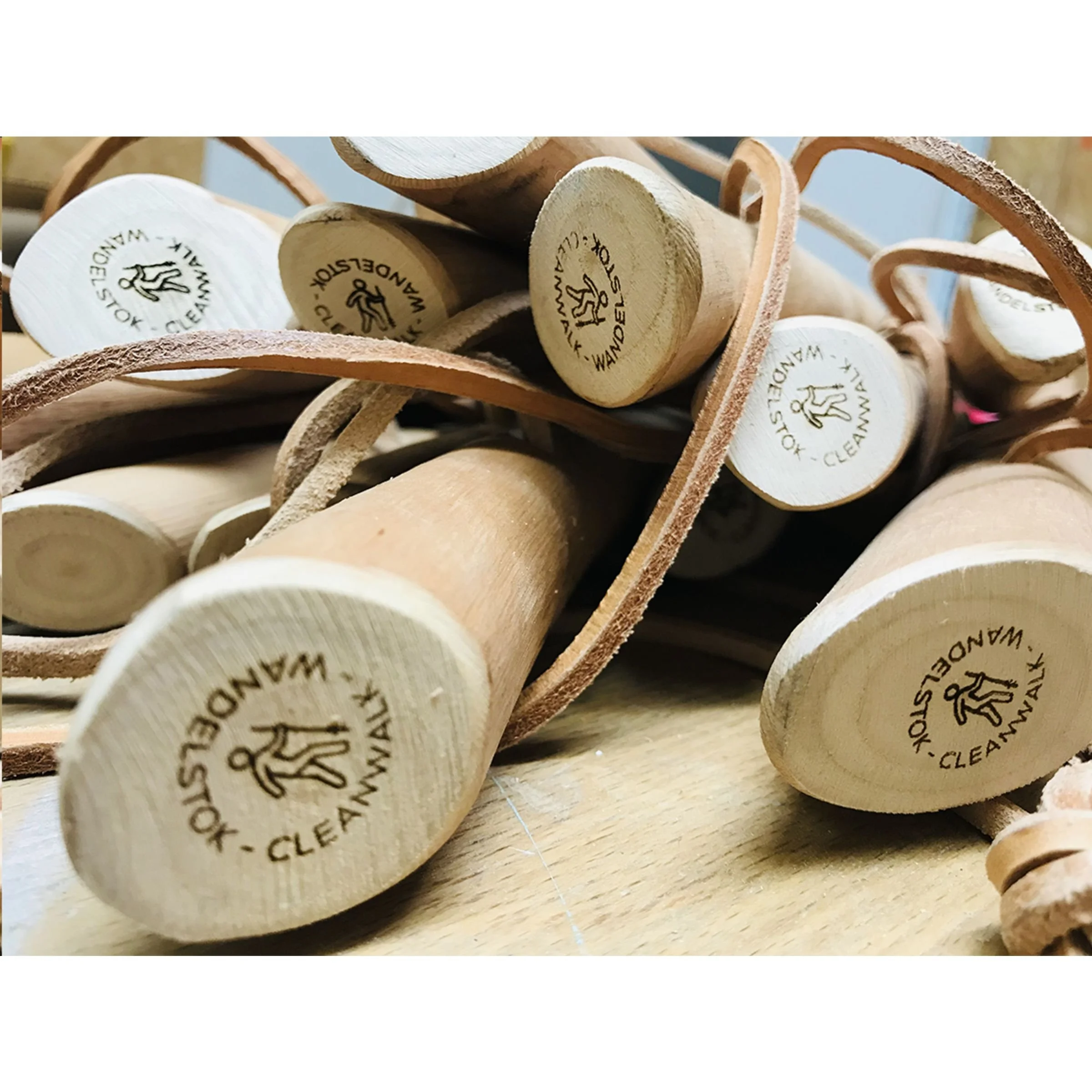 Wandelstok teven zwerfvuil prikker