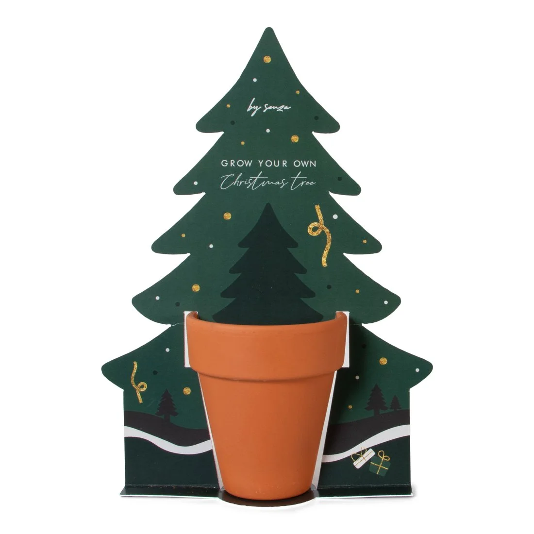 GROEI JE EIGEN KERSTBOOM