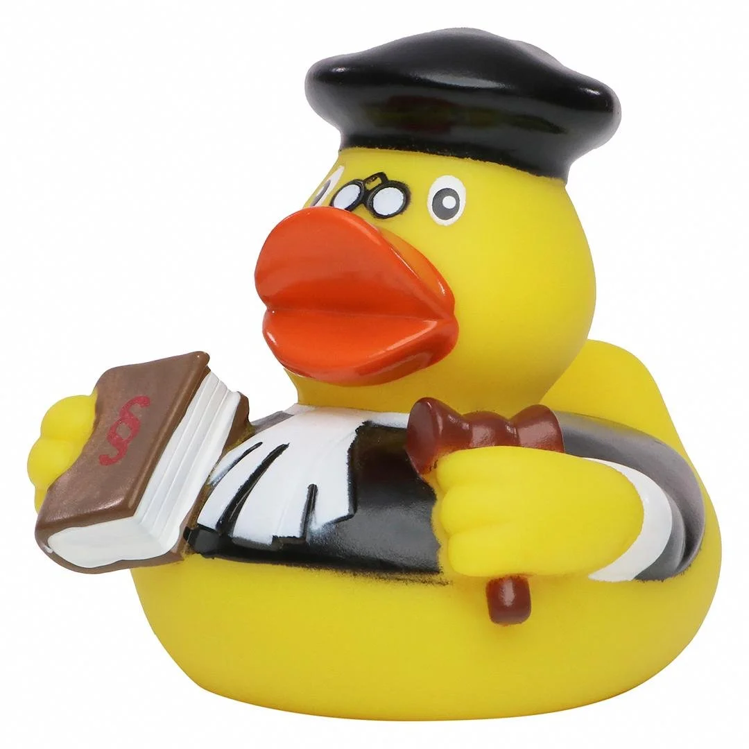 squeaky-duck-judge-multicoloured-m132053_artfarbe_2947_detail_4639_XL.jpg (Copy)