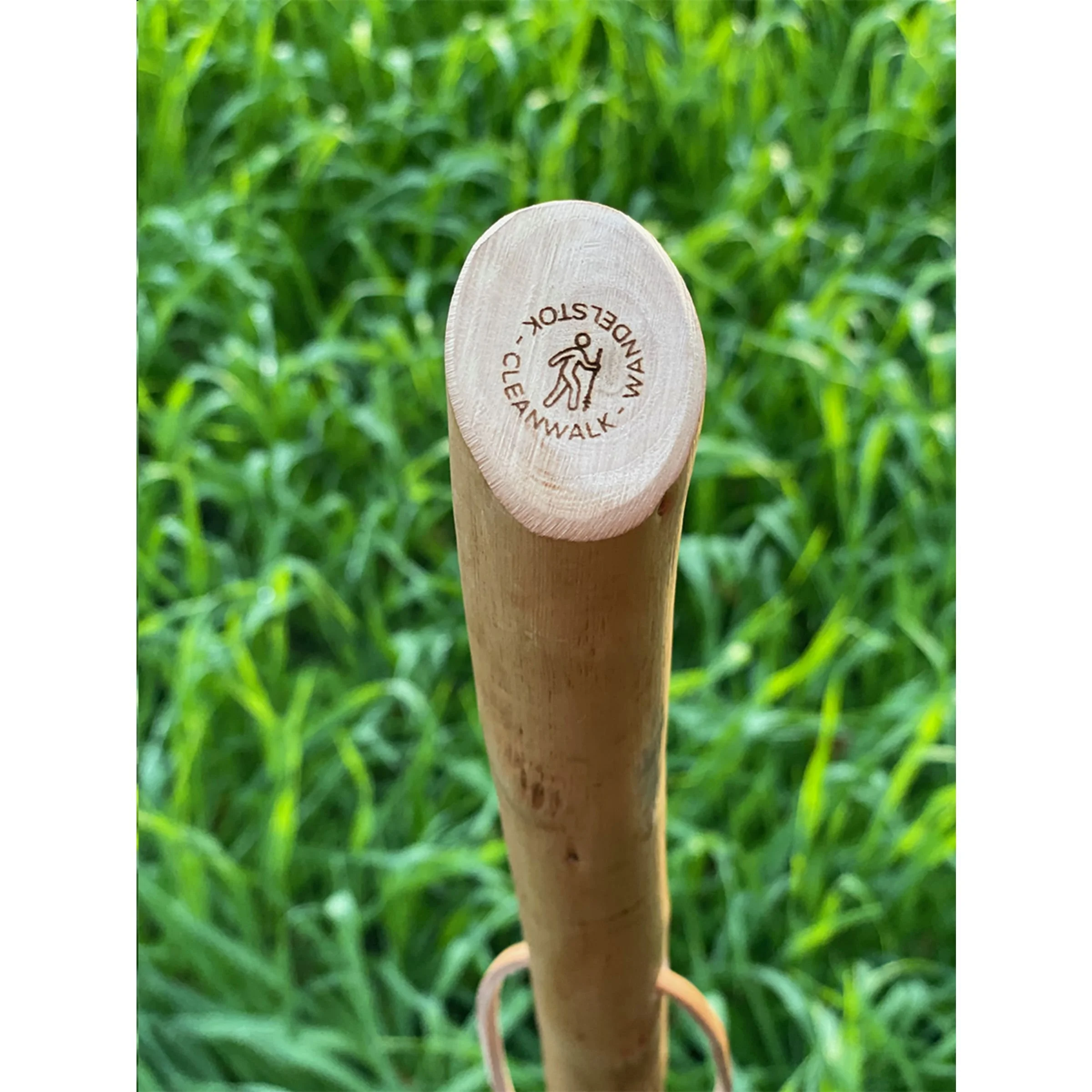 Wandelstok teven zwerfvuil prikker