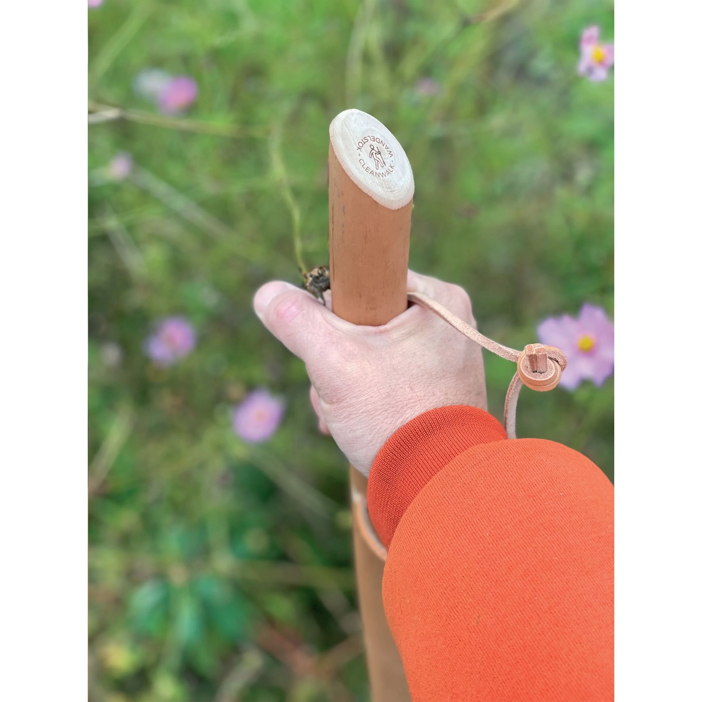 Wandelstok teven zwerfvuil prikker