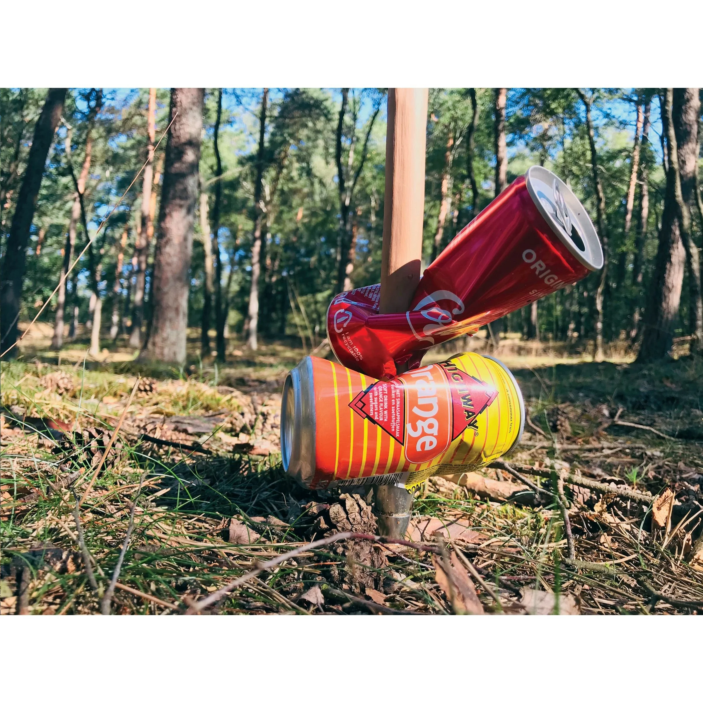 Wandelstok teven zwerfvuil prikker