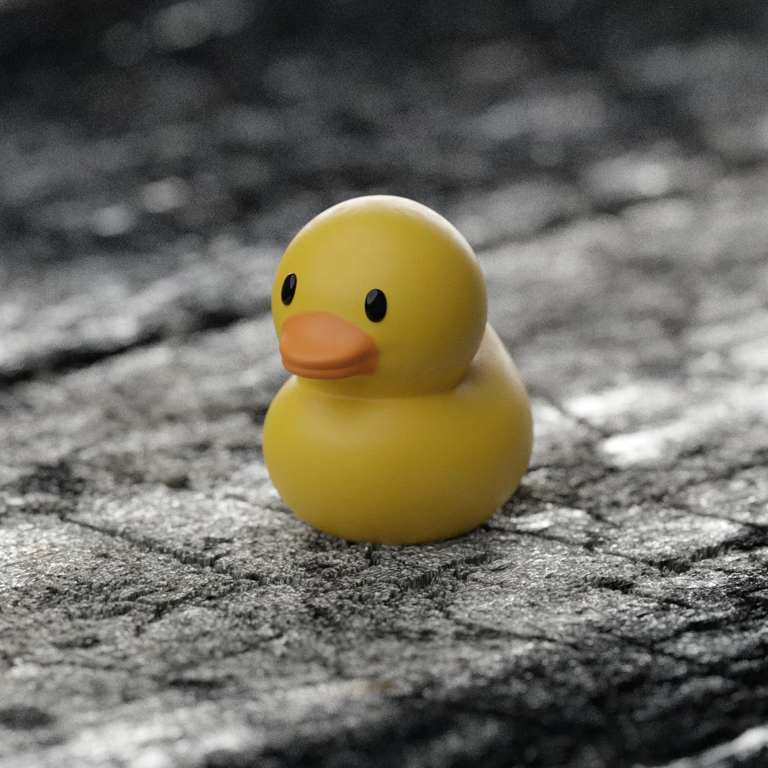 02.04.18d Ducky.jpg