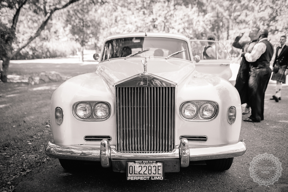 SP_LS_Wedding-023.png