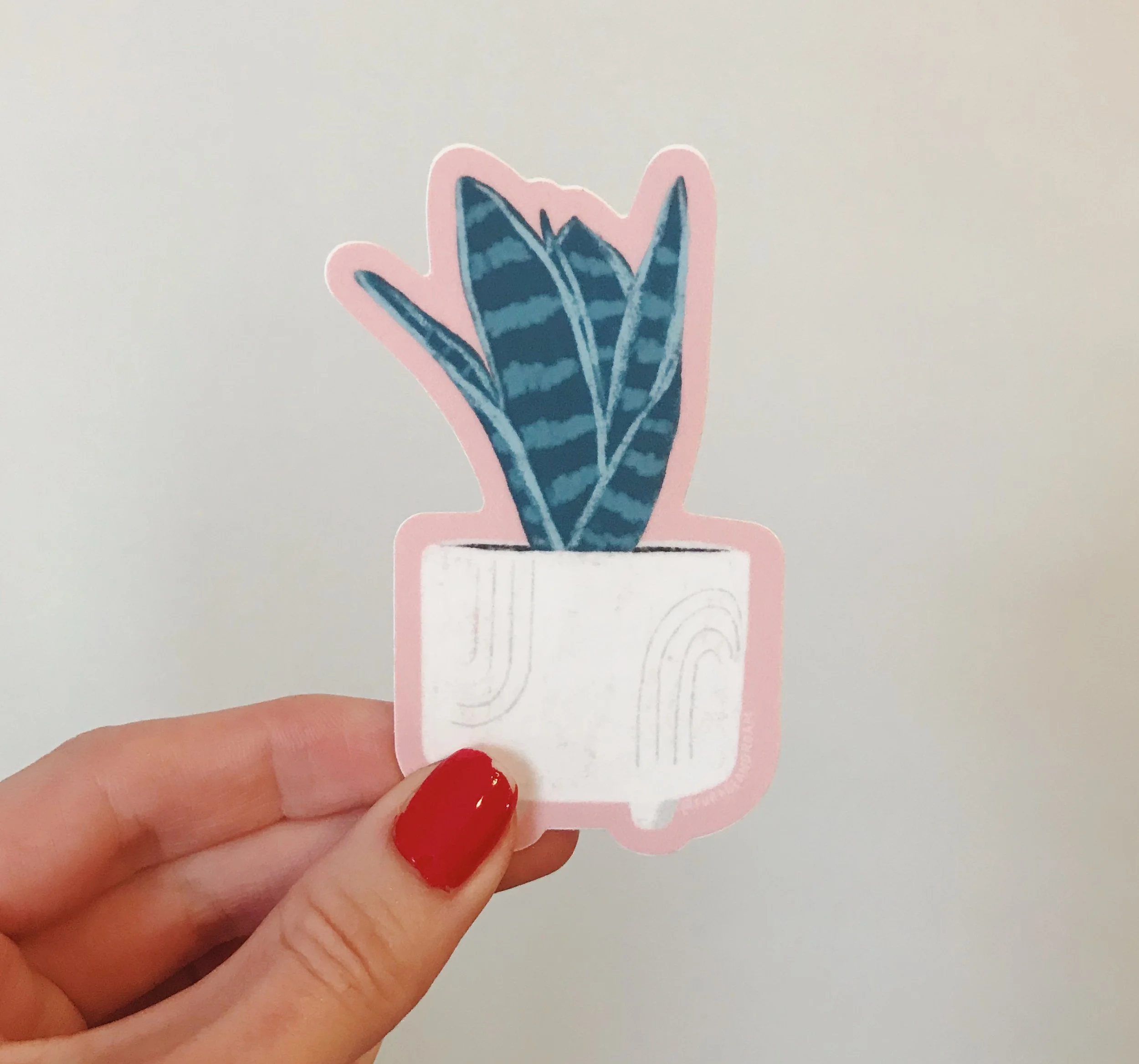 Snake Plant Sticker.JPG