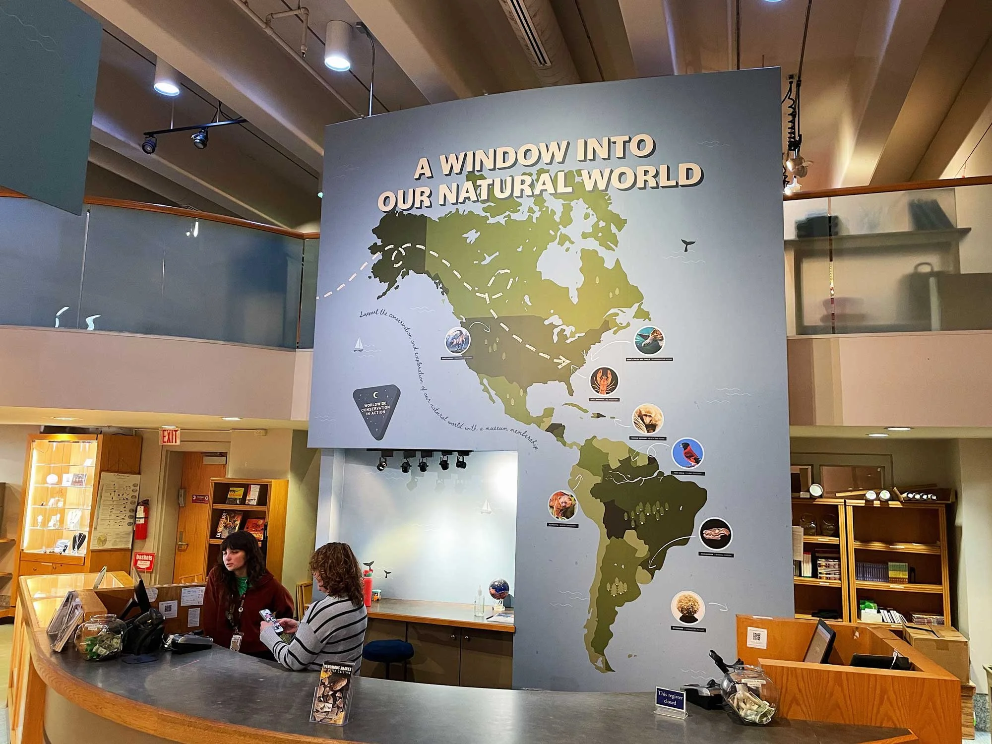 Natural-World-Installation-web.jpg