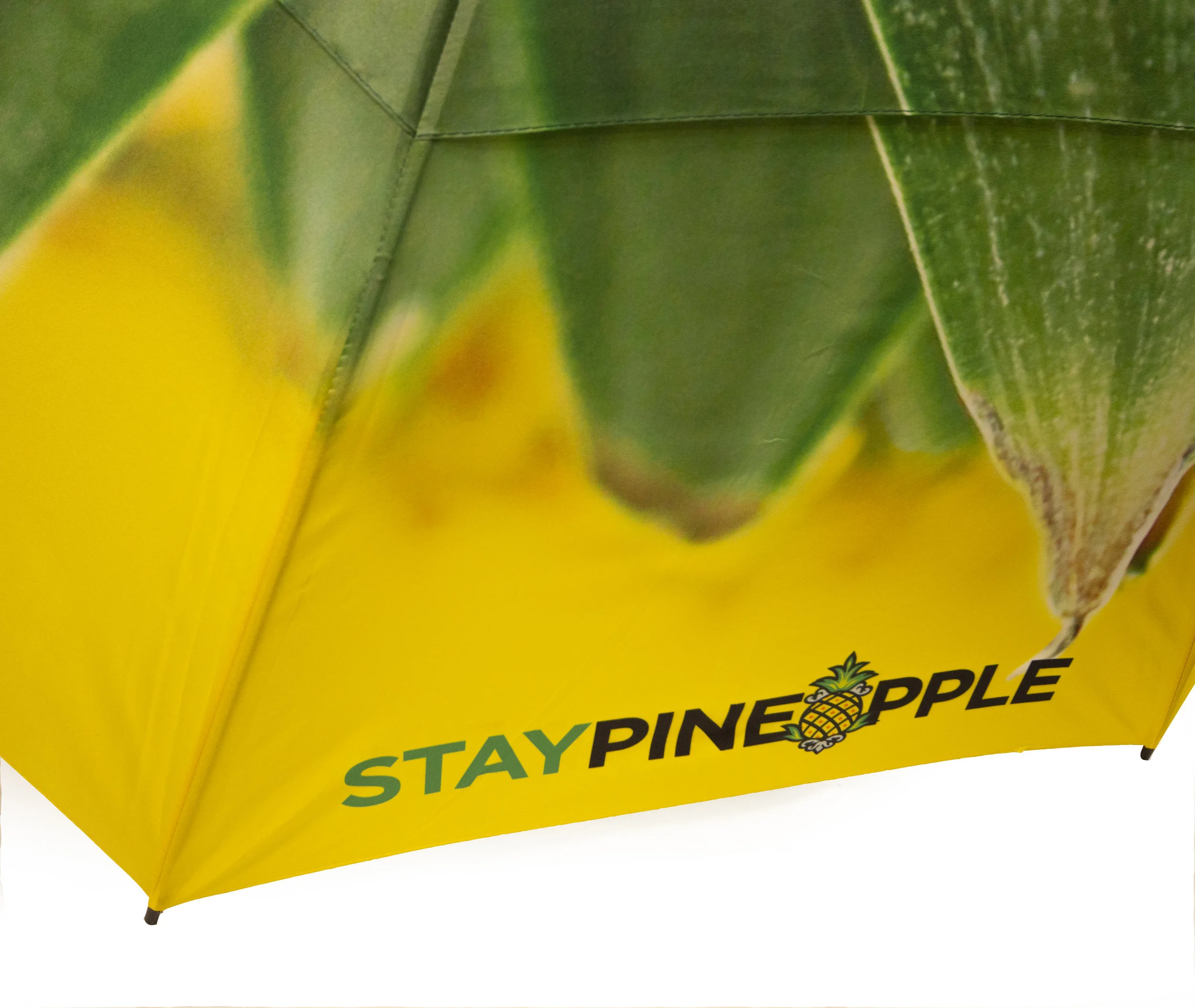 Umbrella (2).jpg
