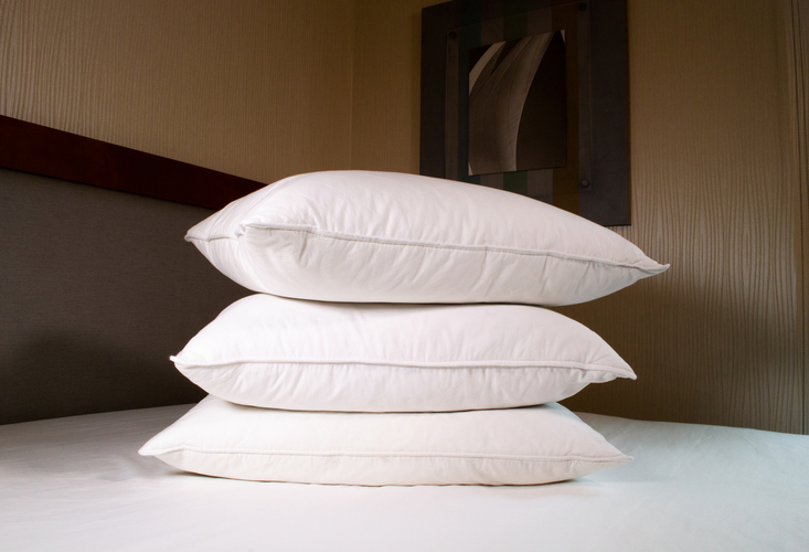 The Naked Experience Feather Pillow — Shoppineapple