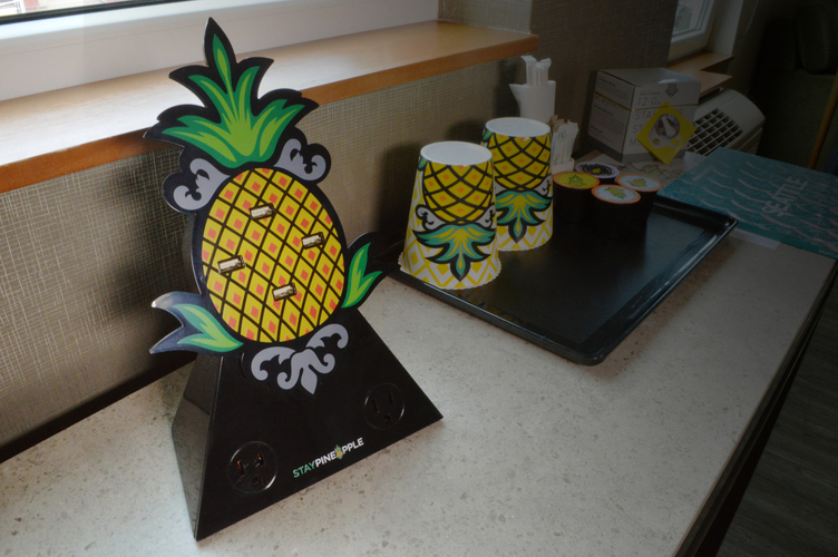PINEAPPLE IN ROOM CHARGER.jpg