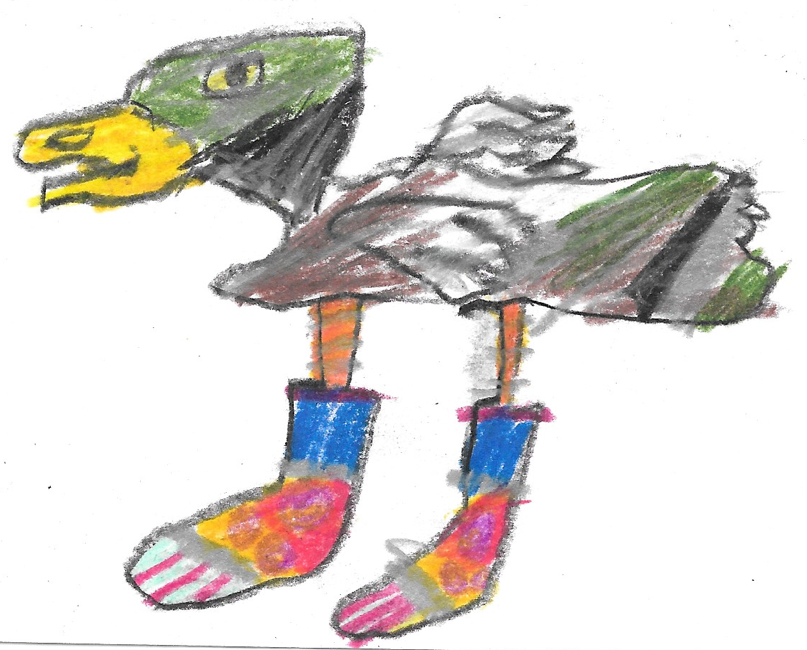 Duck with socks sketch