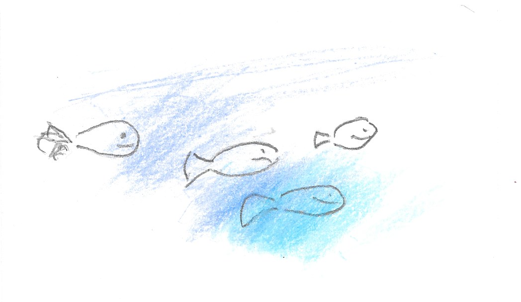 Underwater sketch