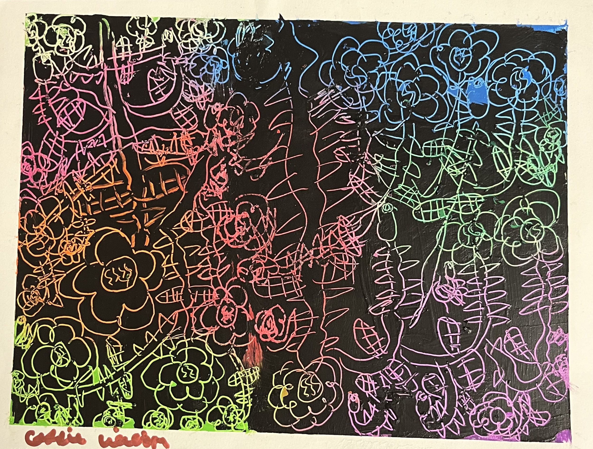 IMG_3377.jpeg