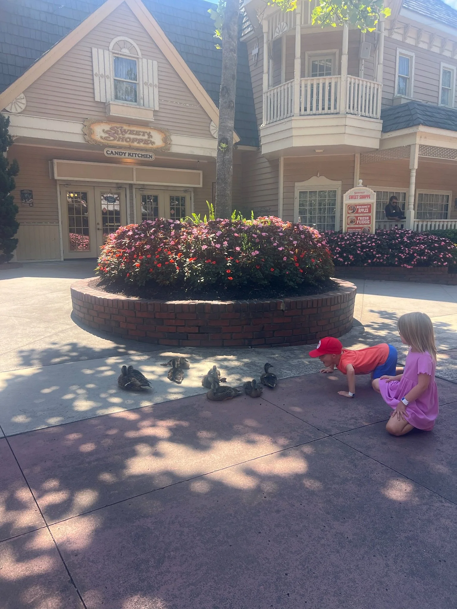 IMG_5423.jpeg
