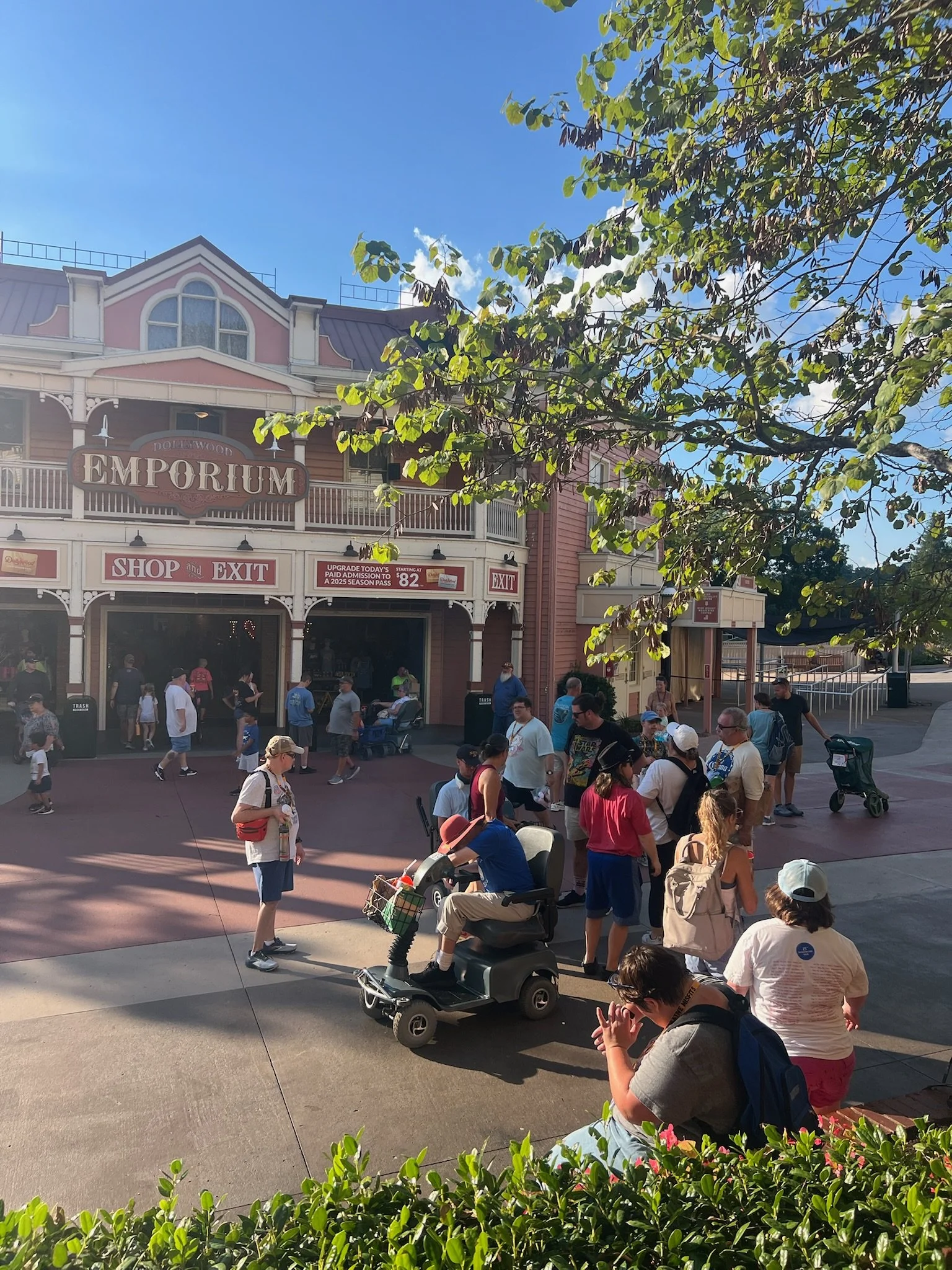 IMG_5479.jpeg