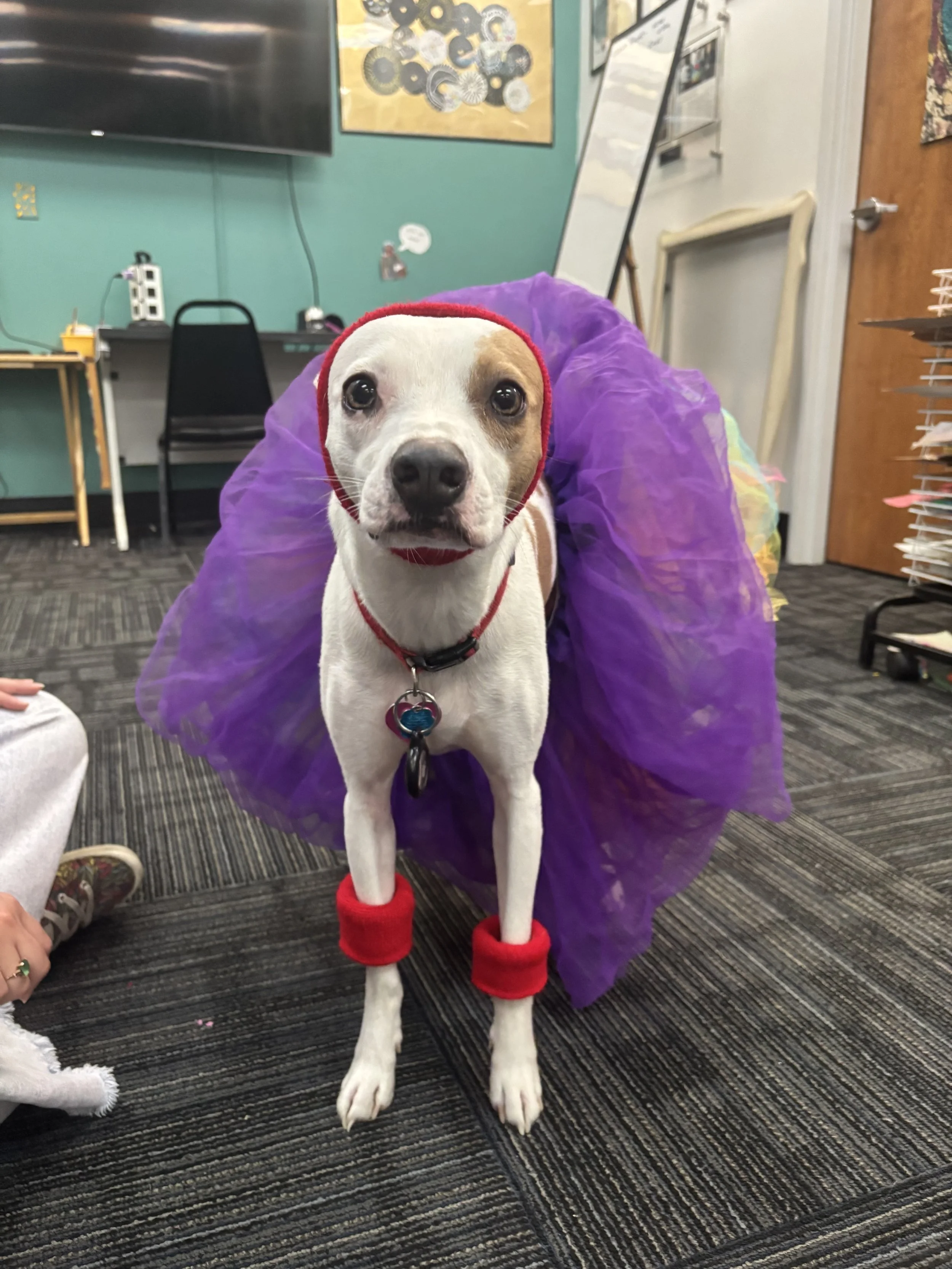 Bowie