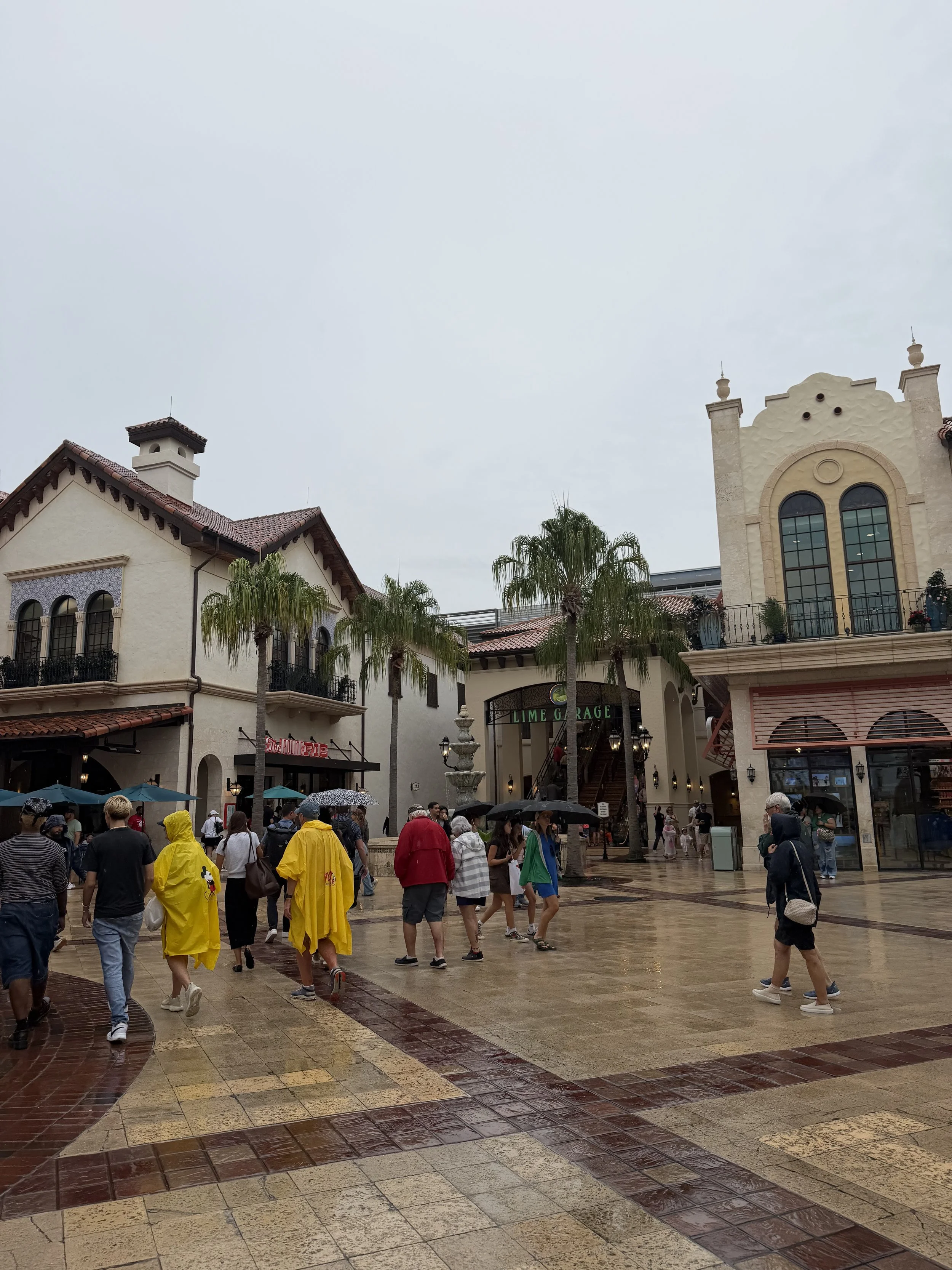 IMG_5355.jpeg