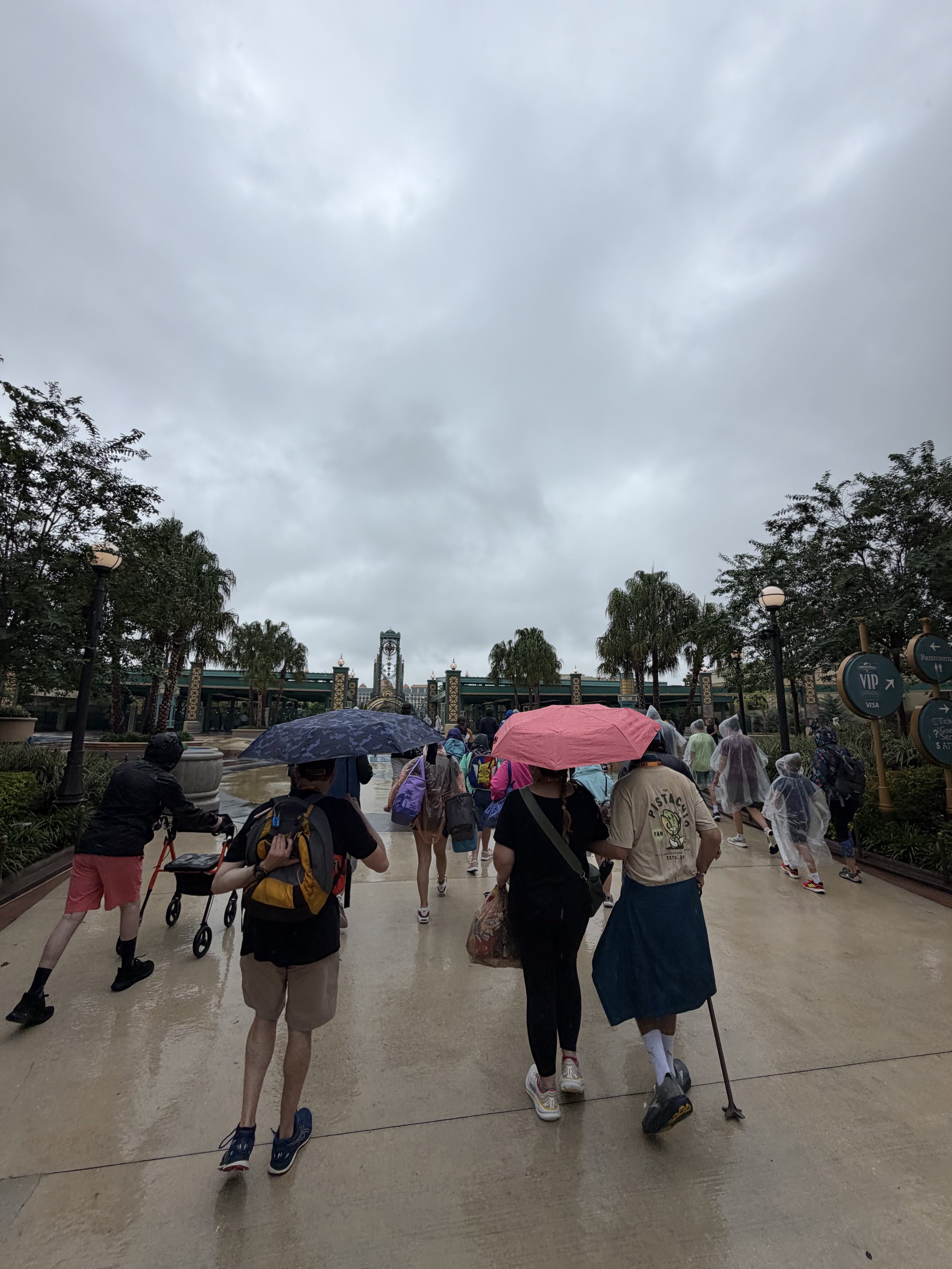 IMG_5379.jpeg