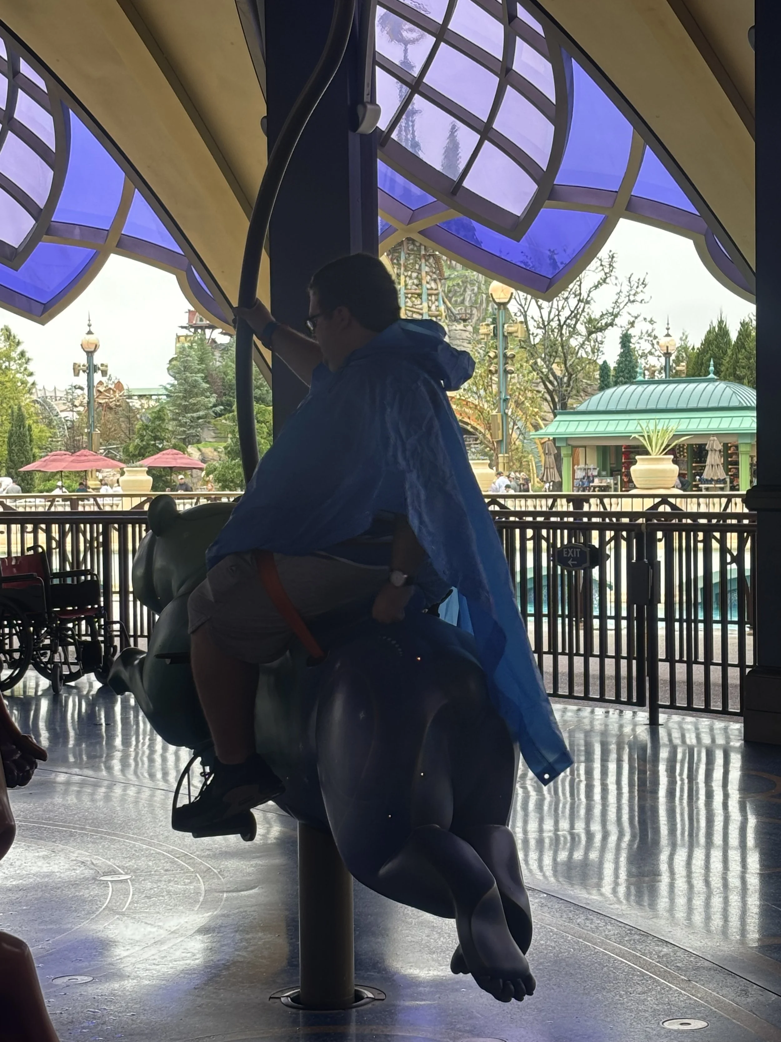 IMG_6588.jpeg