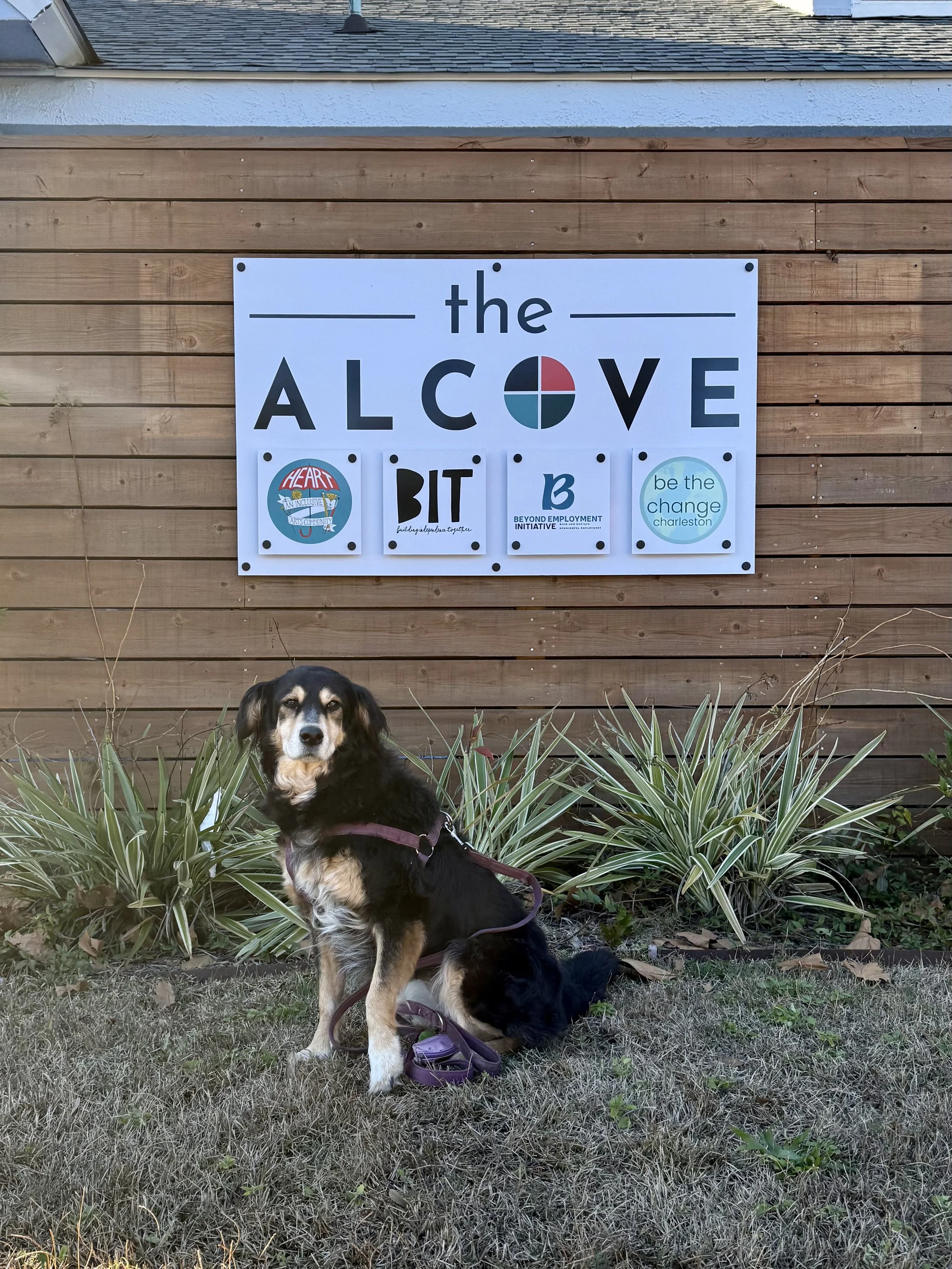 The Alcove on the Fence.jpeg