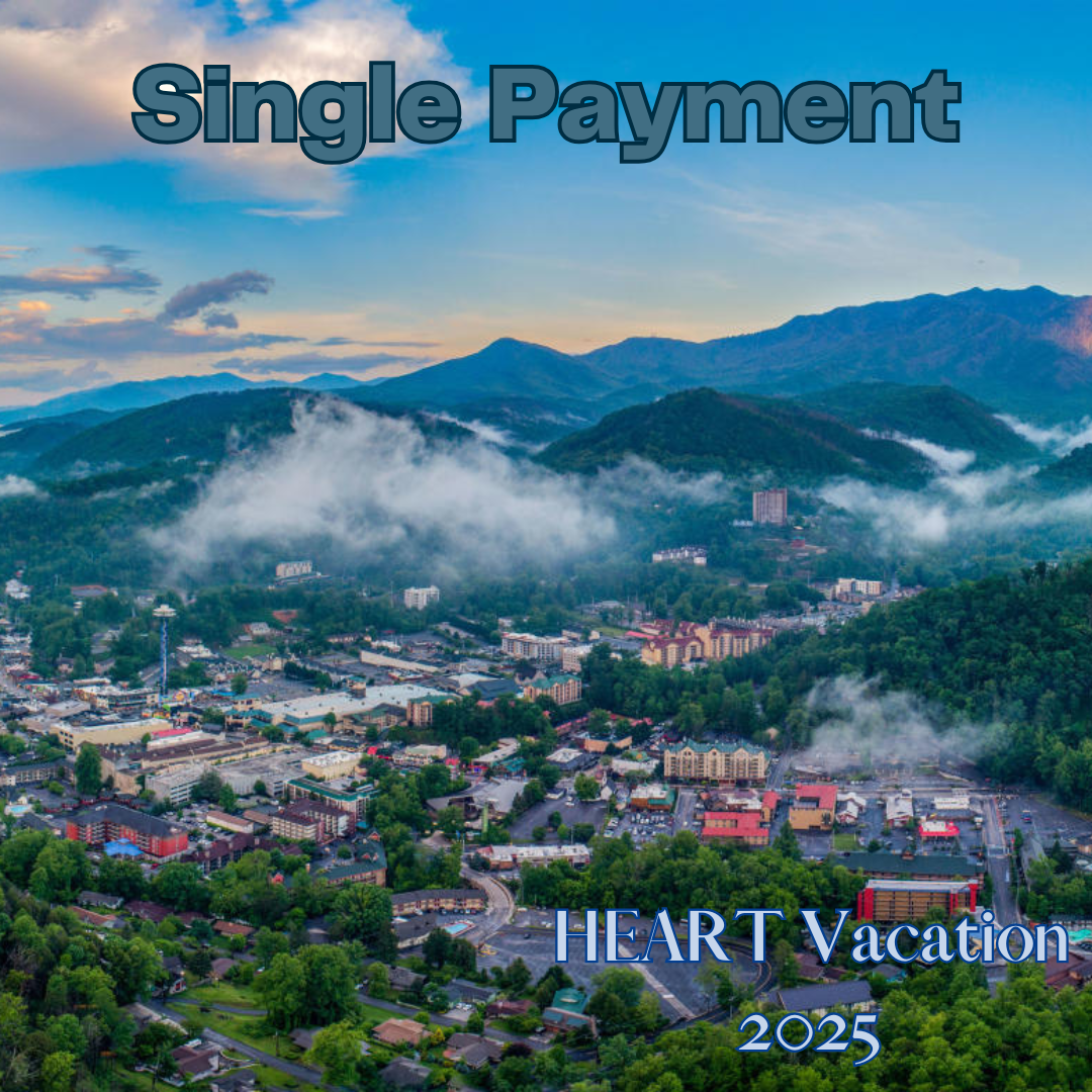 Single Payment.png