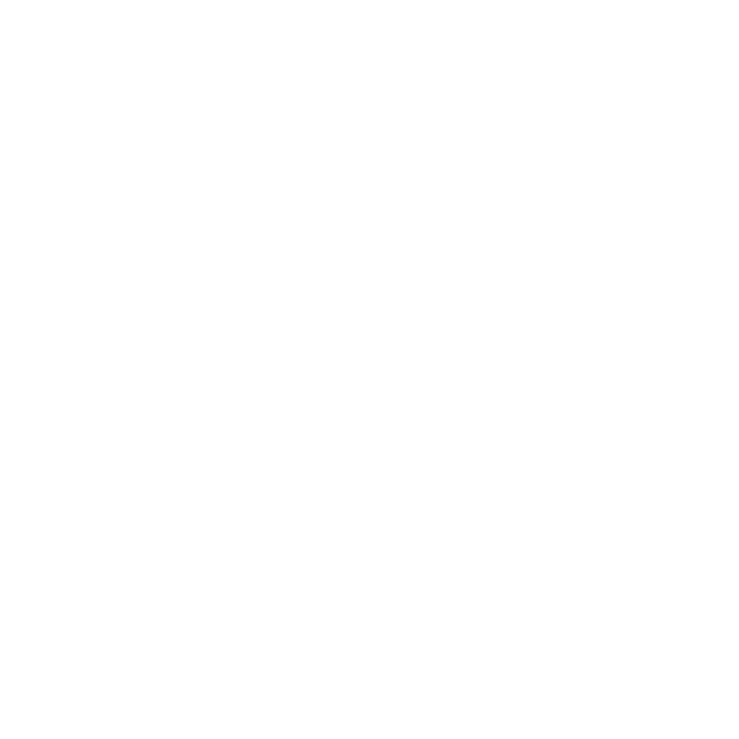 Black and white logo with a bridge and the words 'Rip City Review' underneath.