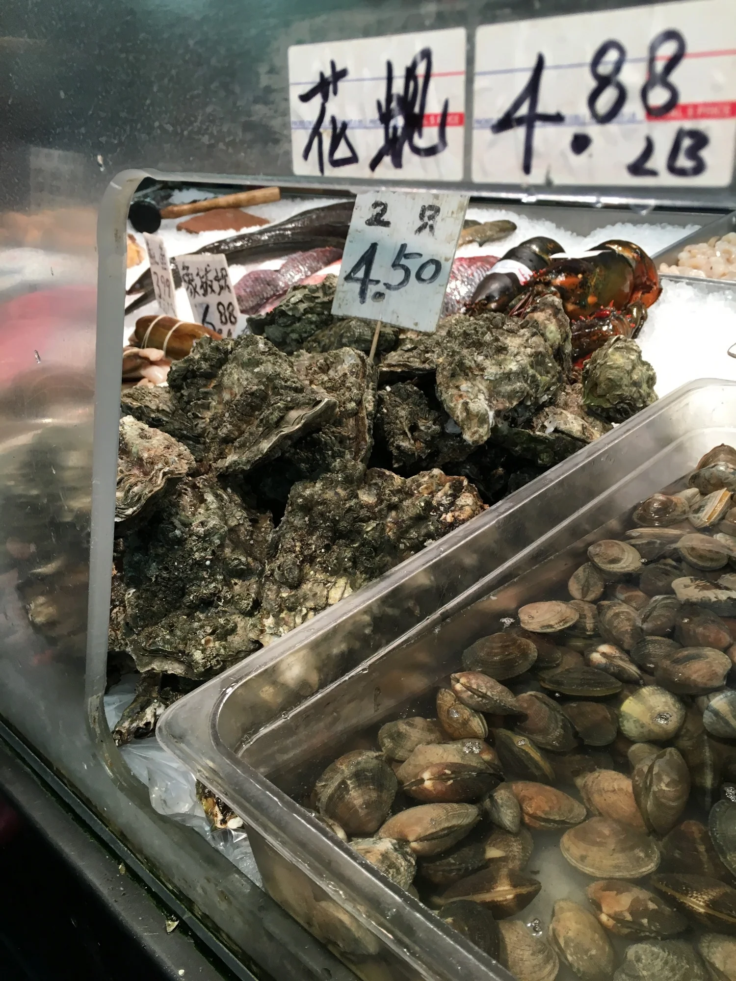 Trip to the Fish Market