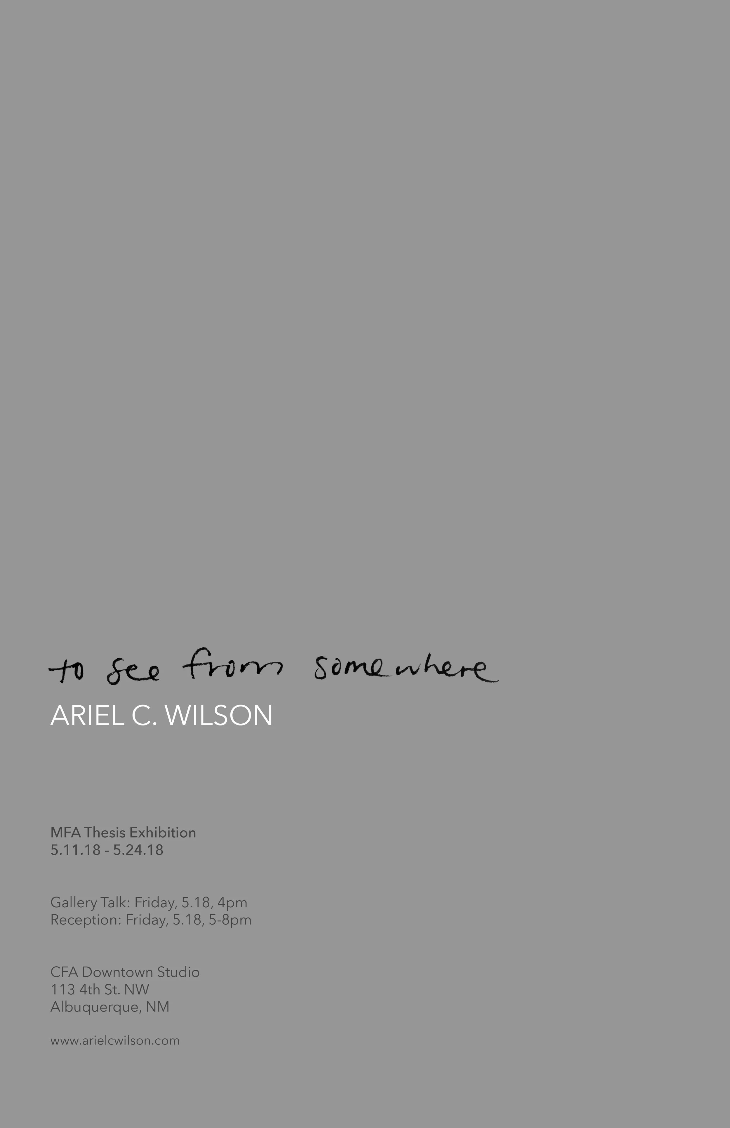 Ariel C. Wilson_To See from Somewhere_Poster.jpg