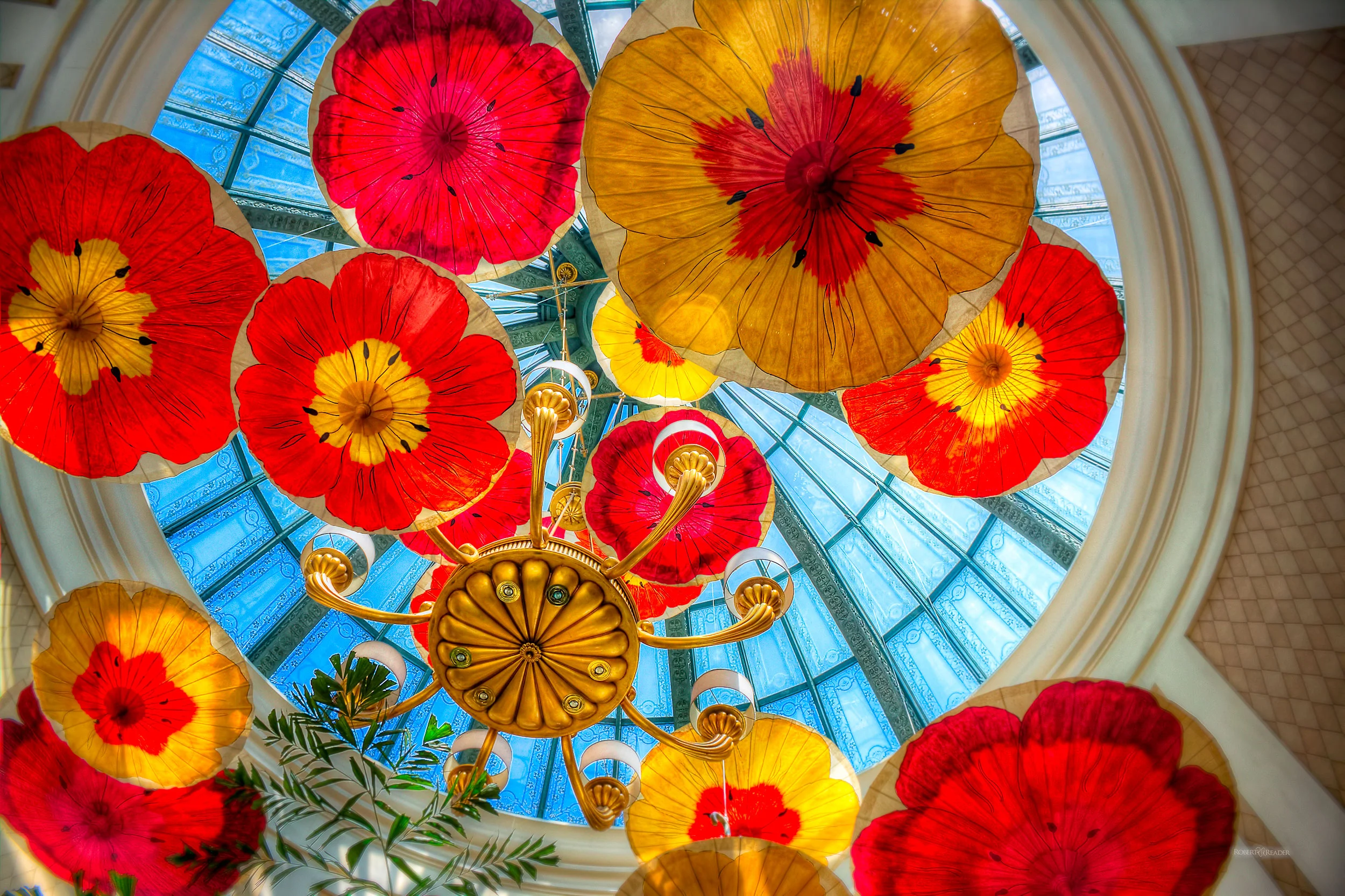Interior Photo of Flowers Hanging