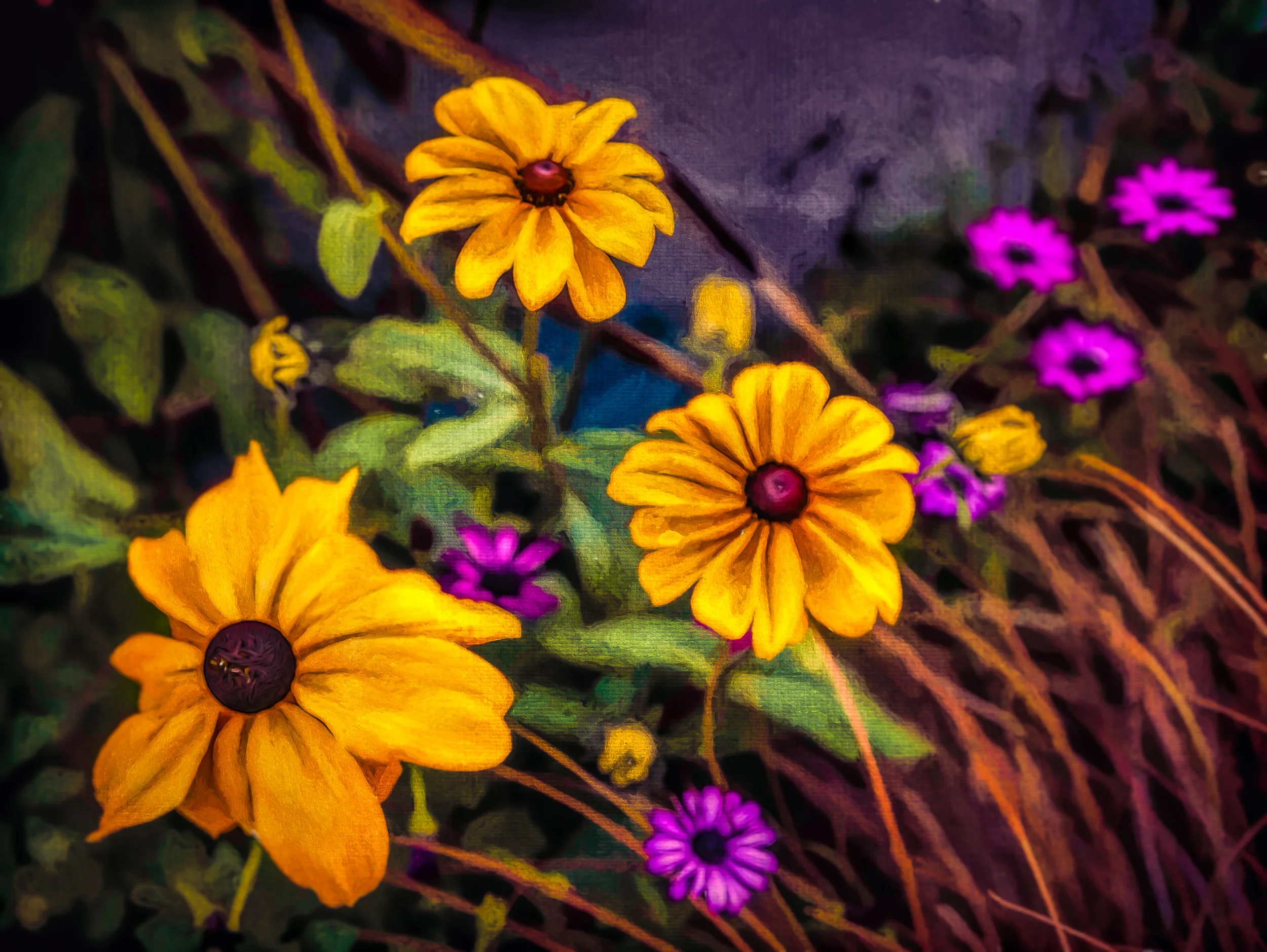 Flowers in Victoria Canada