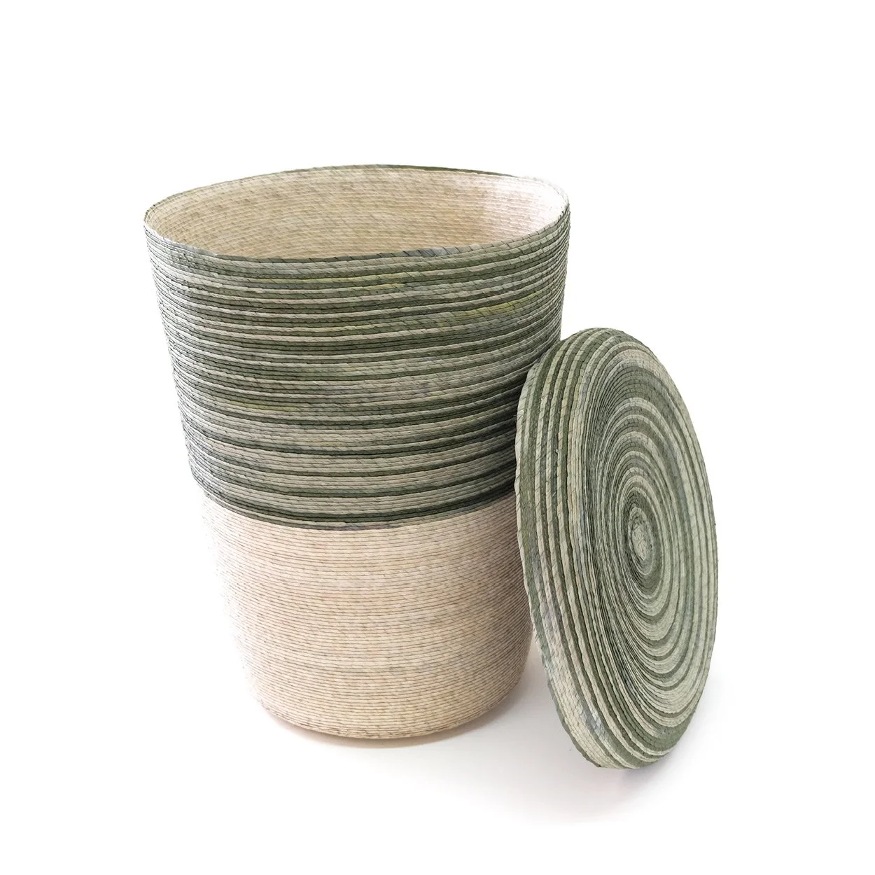 Hamper con tapa - Zebra Cactus