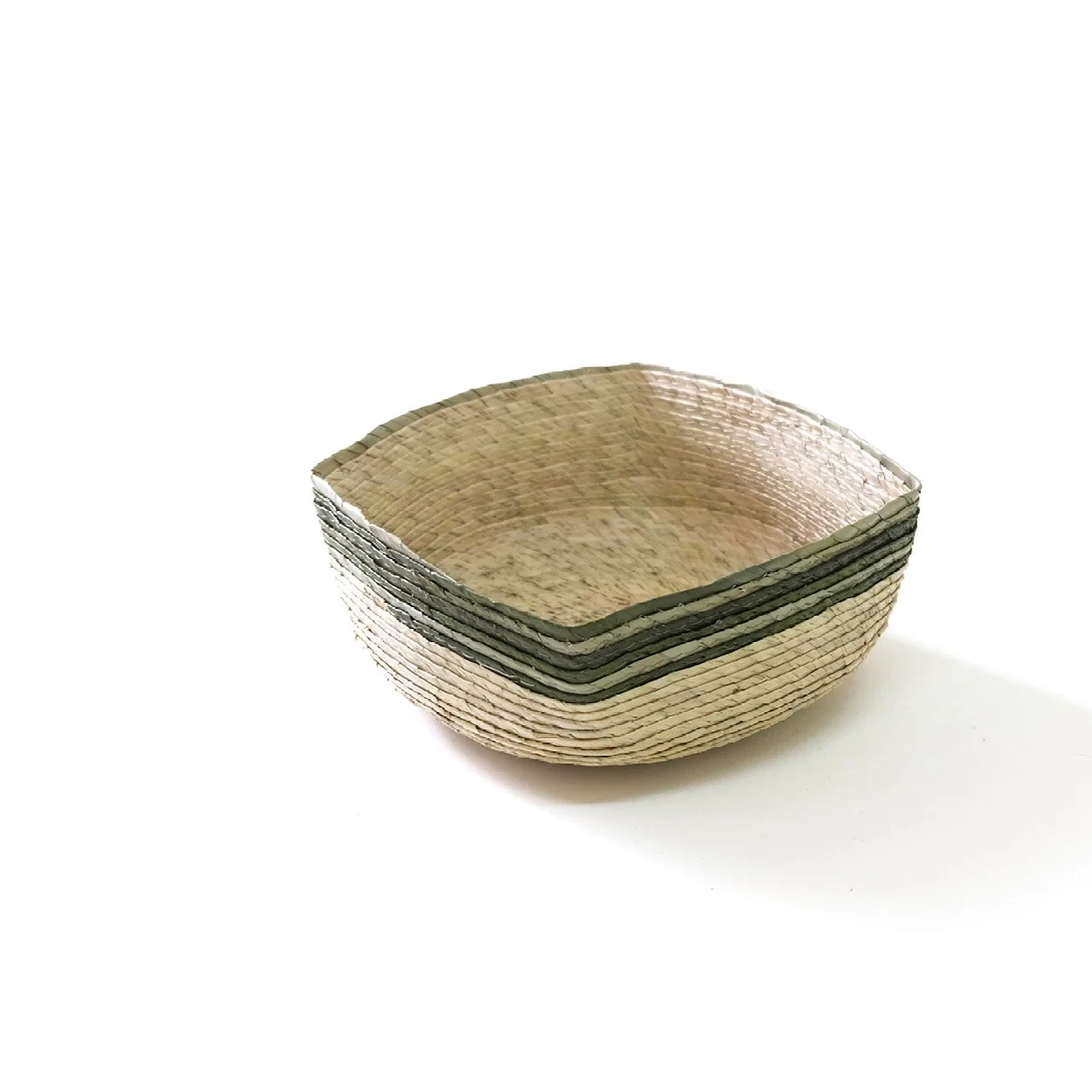 Canasta Cuadrada extra chica - Zebra Cactus