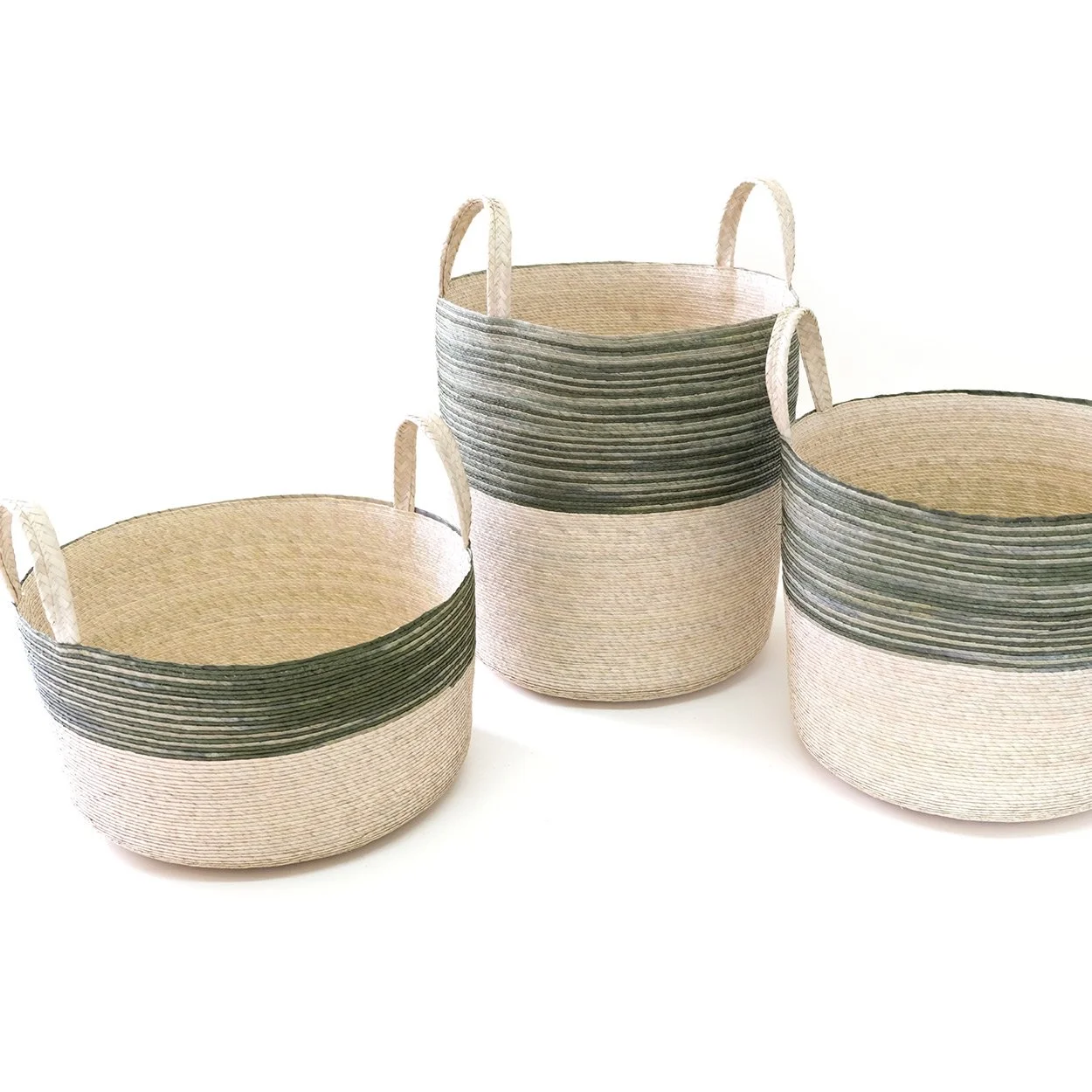 Tambo con asas - Zebra Cactus