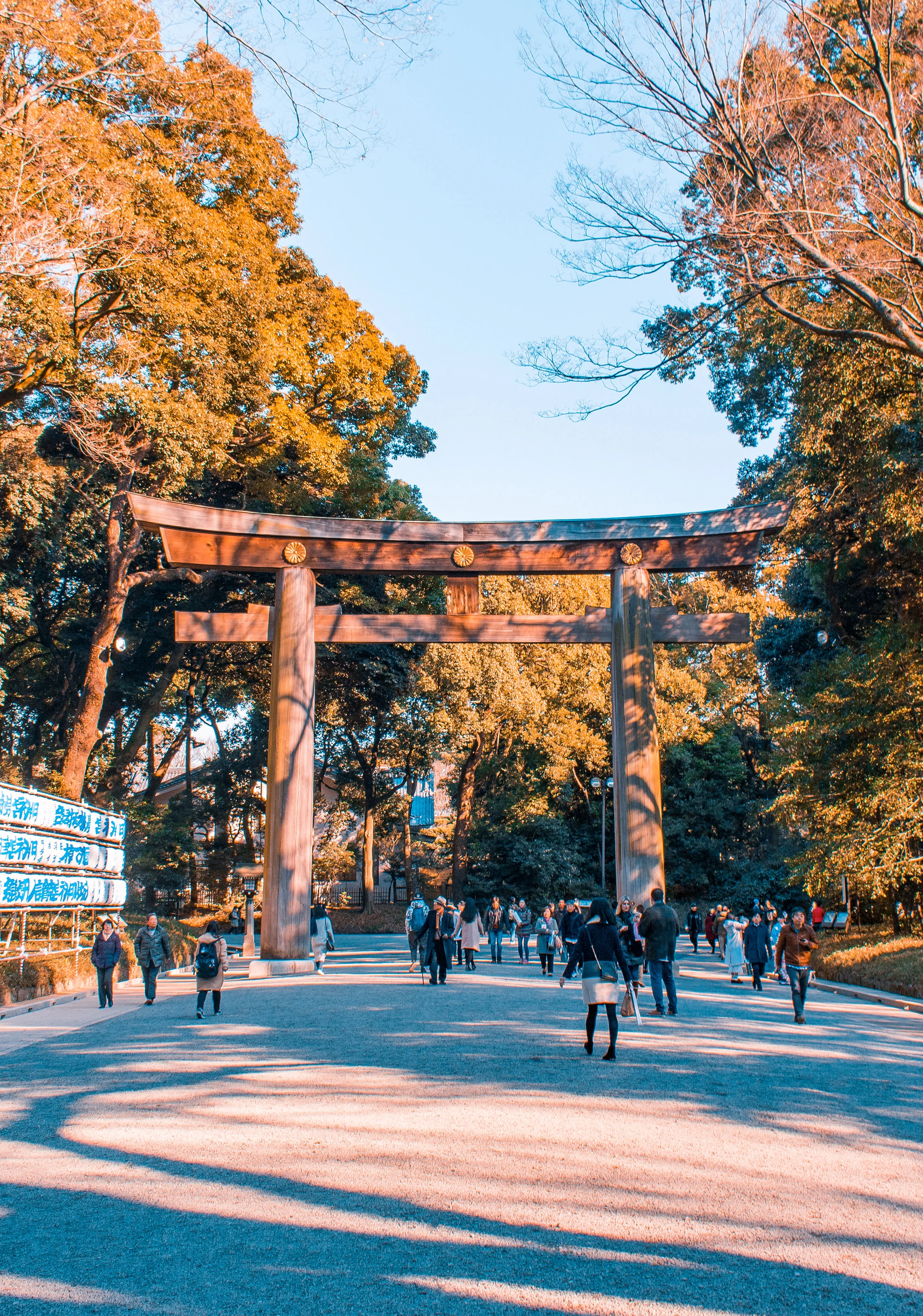 東京の冬 Abigail Wiantono