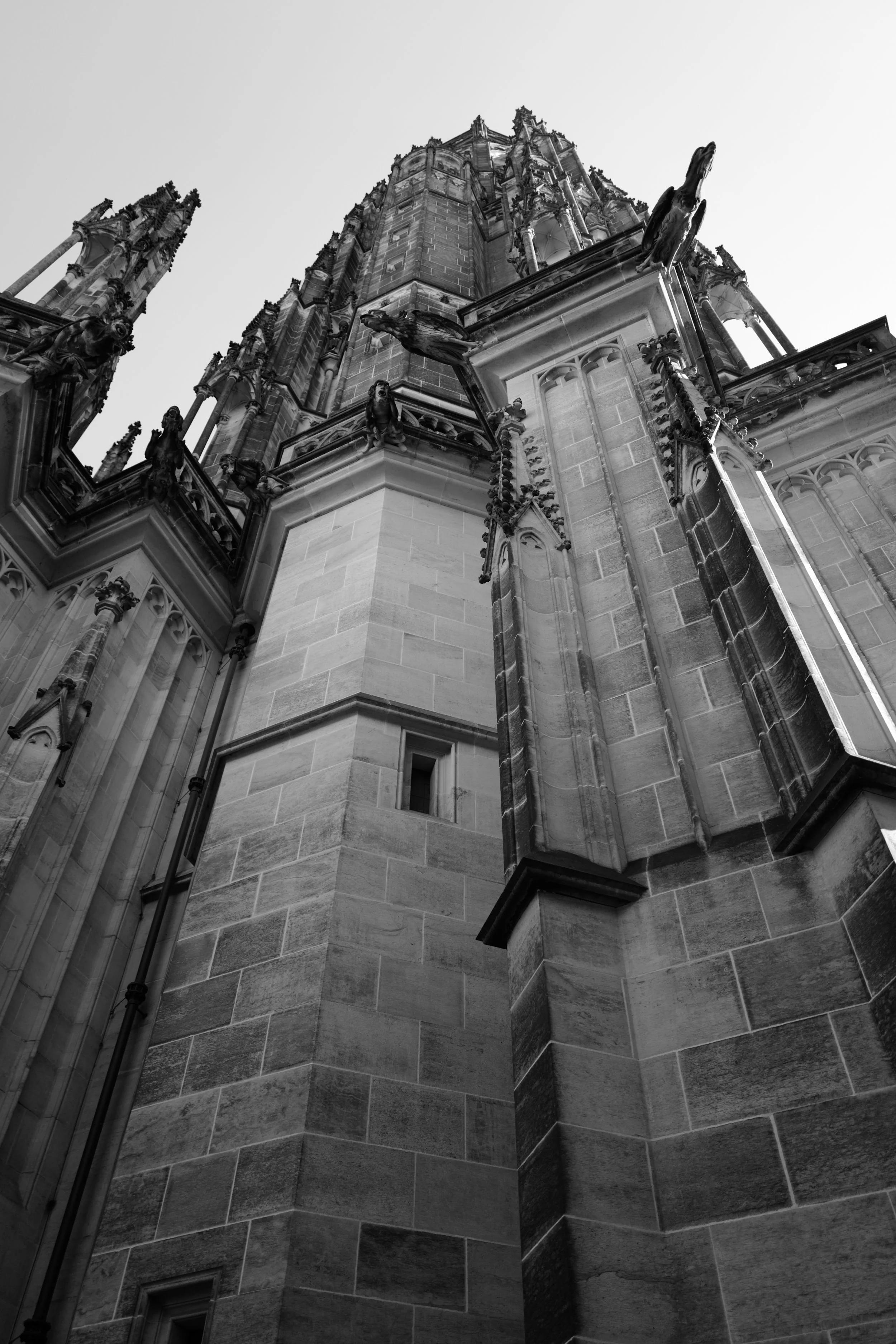 L1040494.JPG