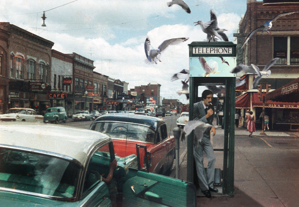 Billboard5_Gulls.png