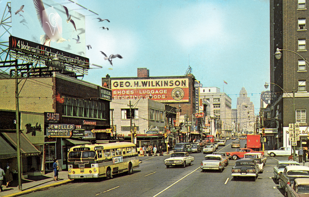 Billboard4_Gulls.png